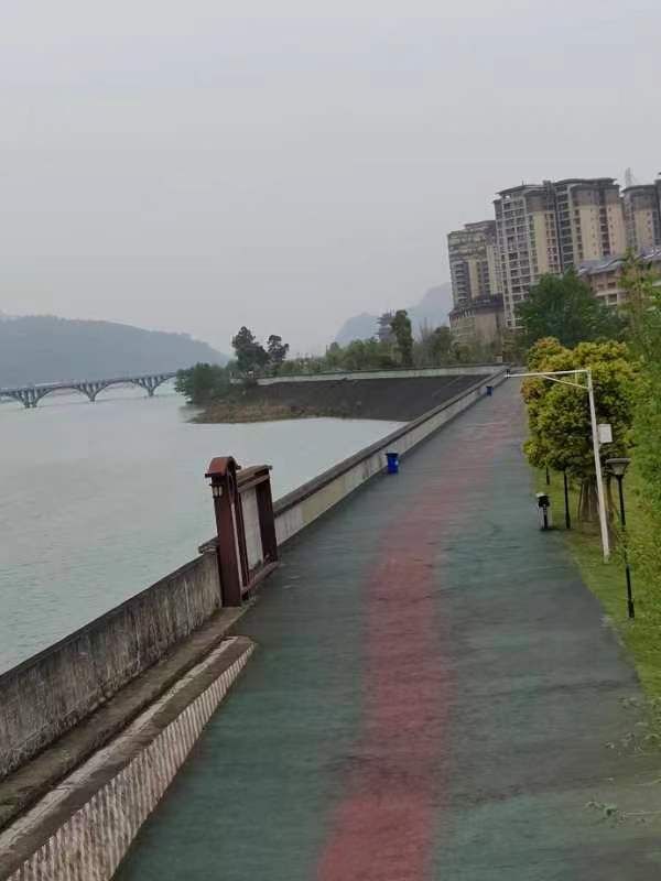 夹江县湿地公园旅行图片 3