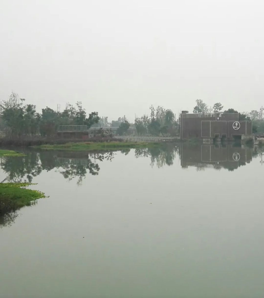 夹江县湿地公园旅行图片 1