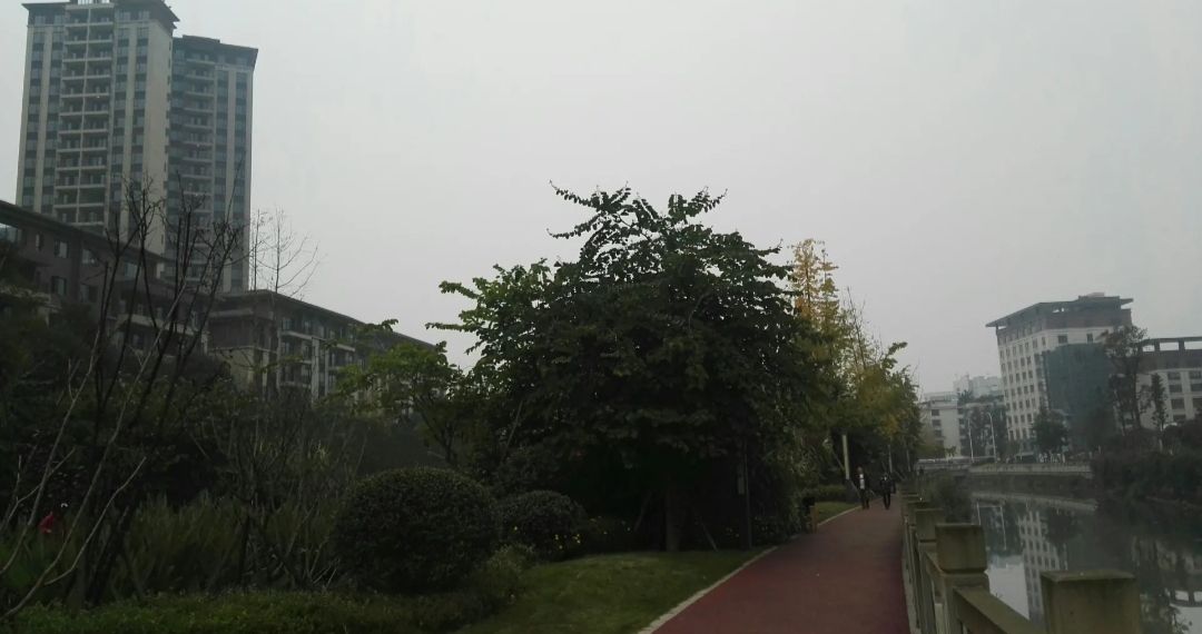 夹江县湿地公园旅行图片 2