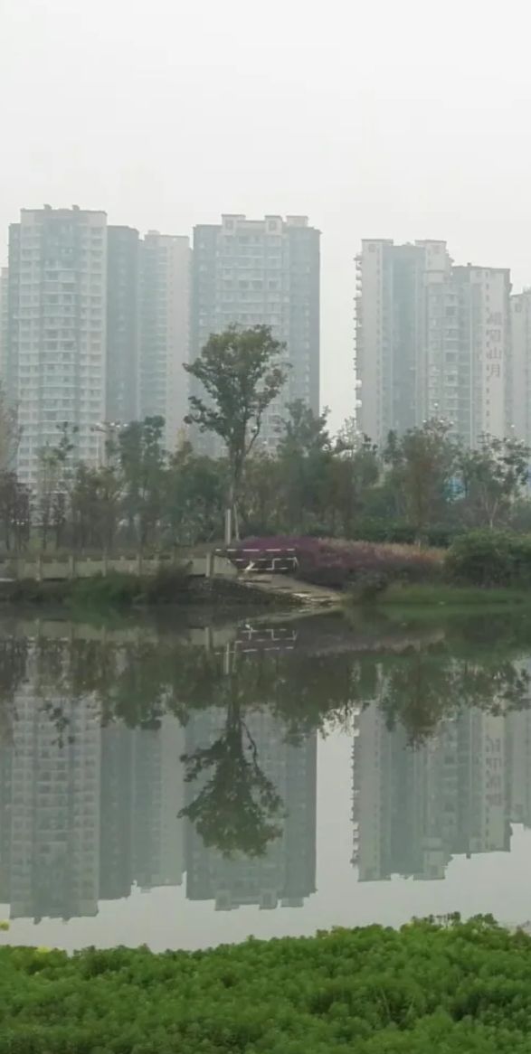 夹江县湿地公园旅行图片 3