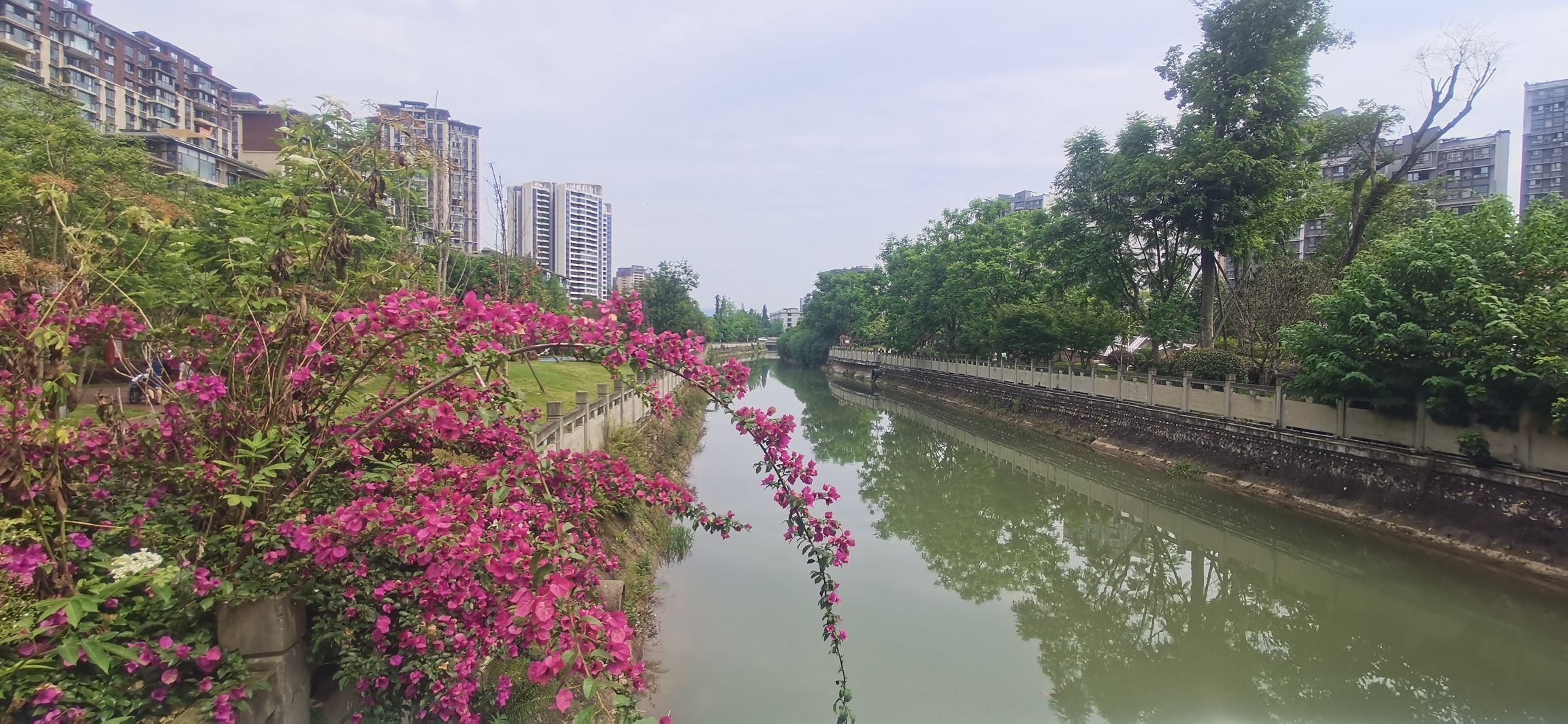 夹江县湿地公园