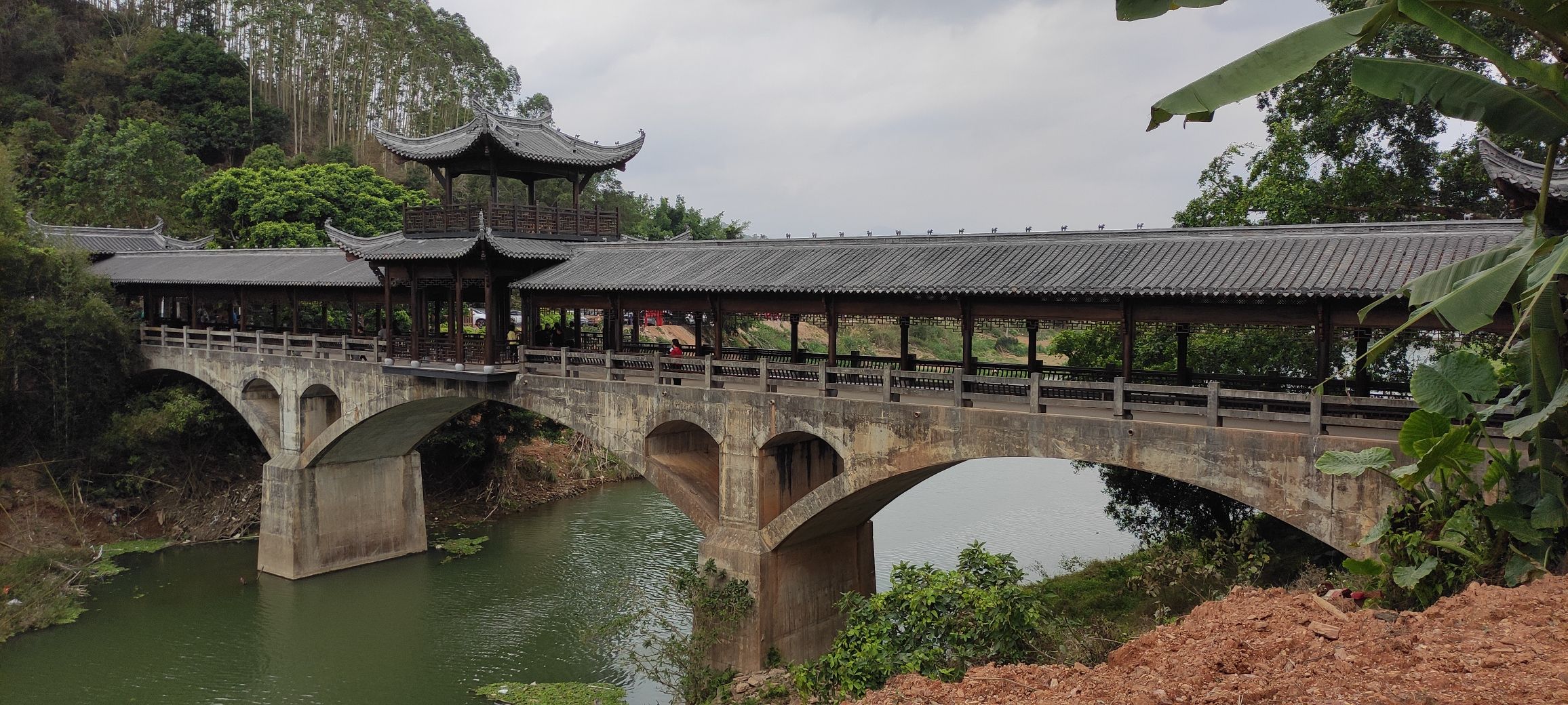 那播森林公园旅行图片 2