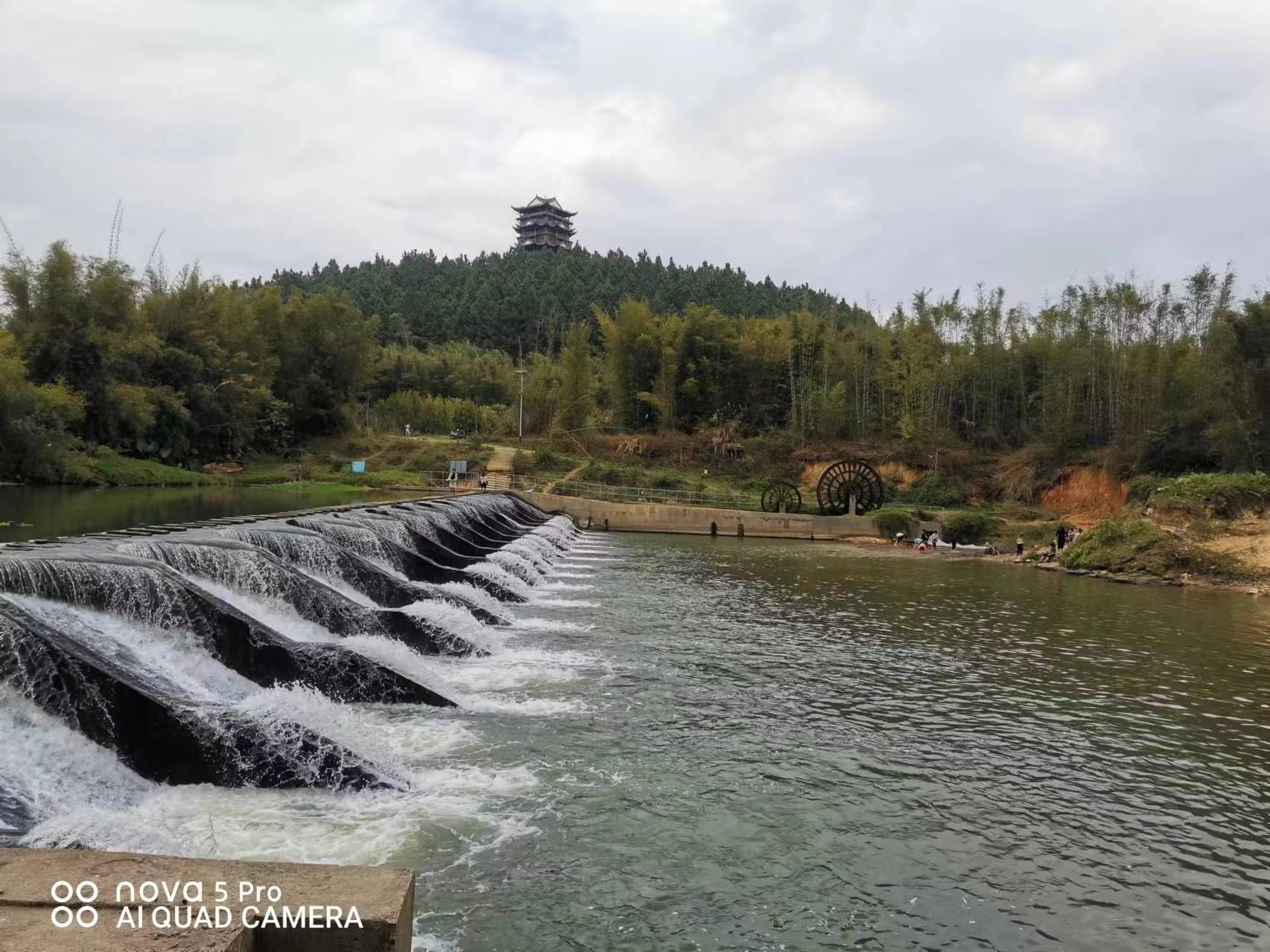 那播森林公园旅行图片 1