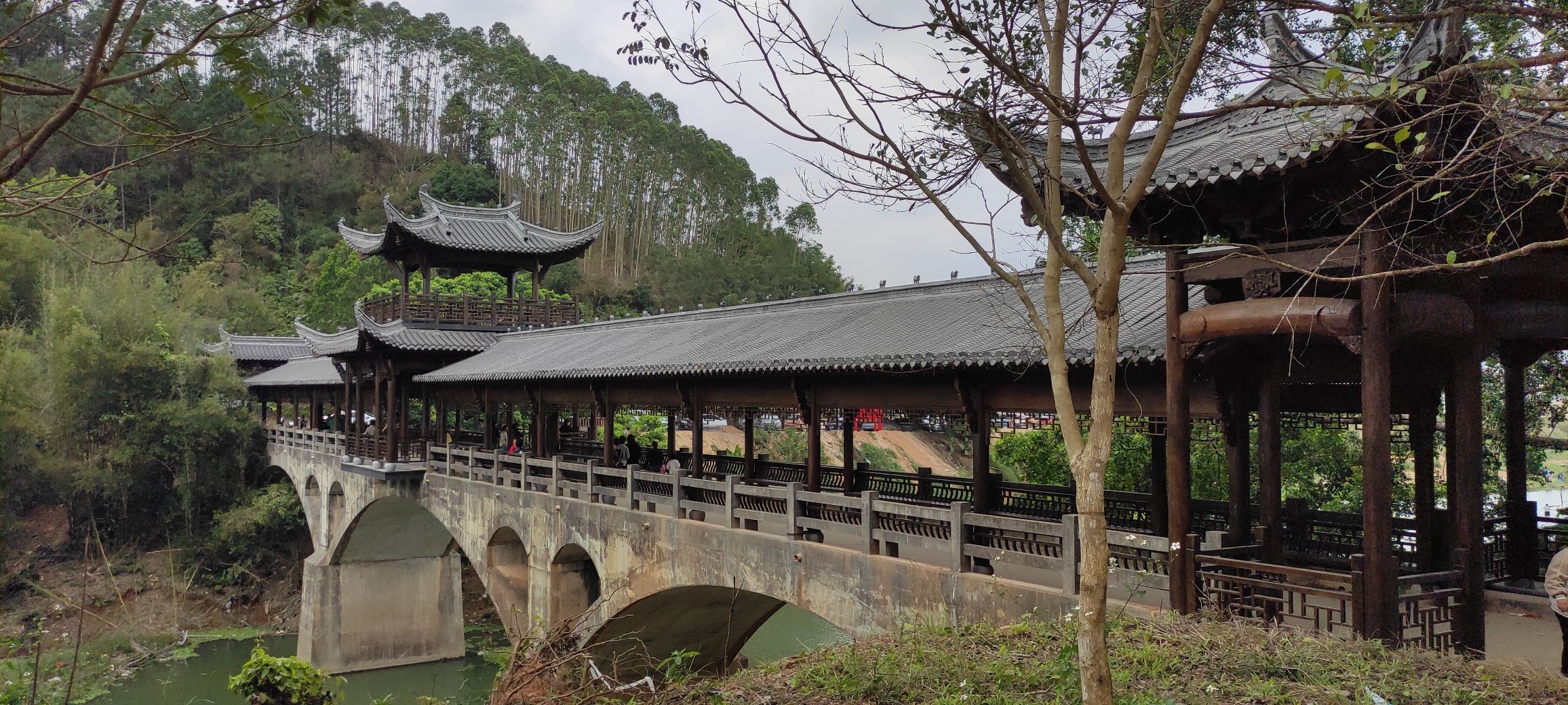那播森林公园旅行图片 3
