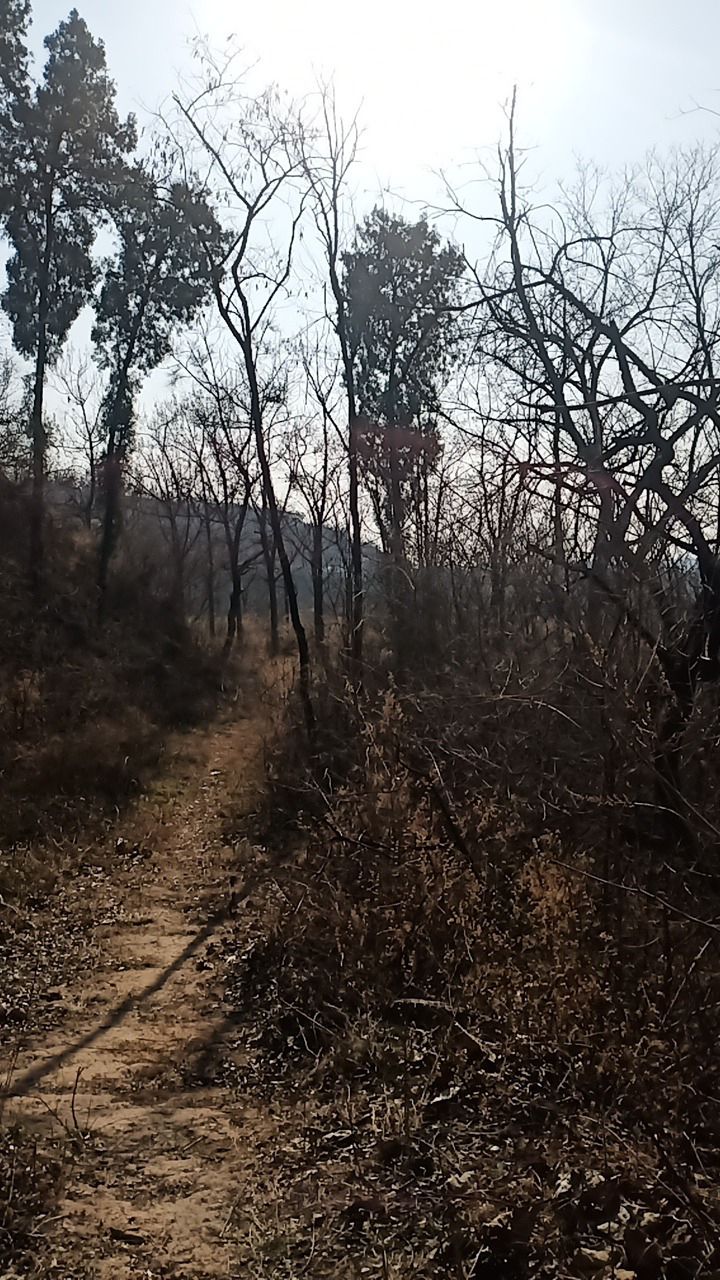 洛阳市孟津县老君庙风景区旅行图片 1