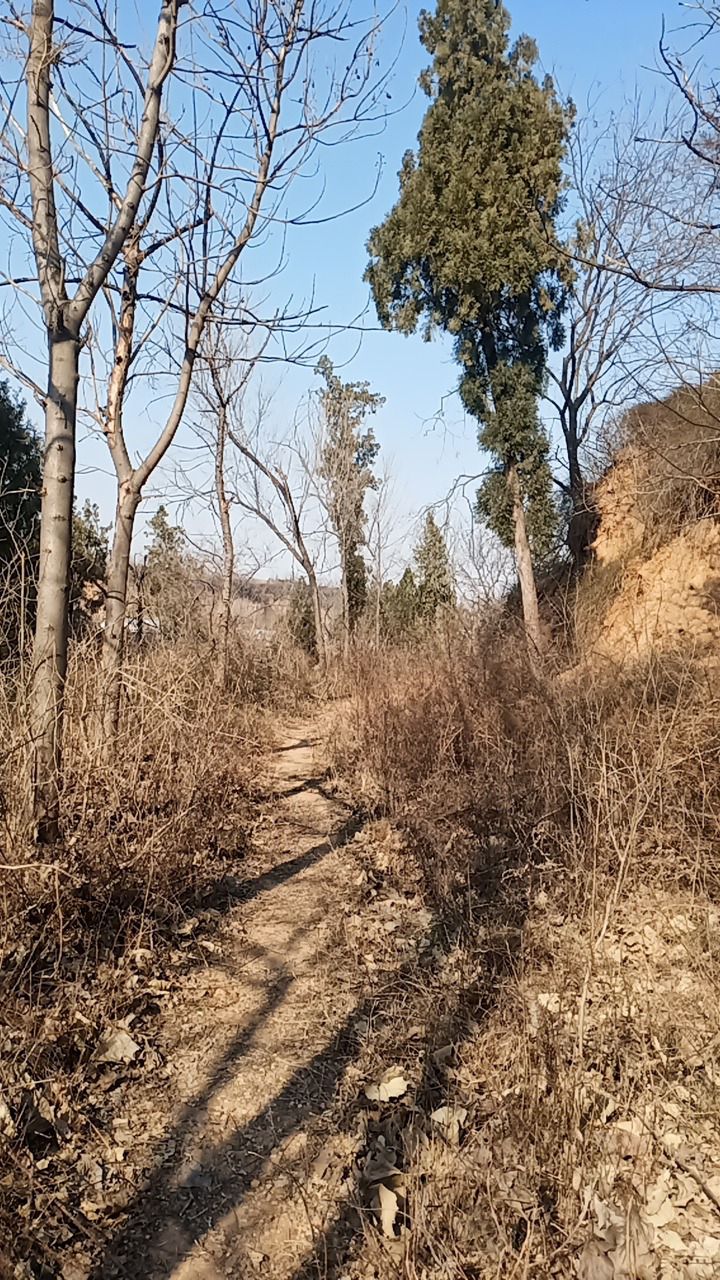 洛阳市孟津县老君庙风景区旅行图片 2