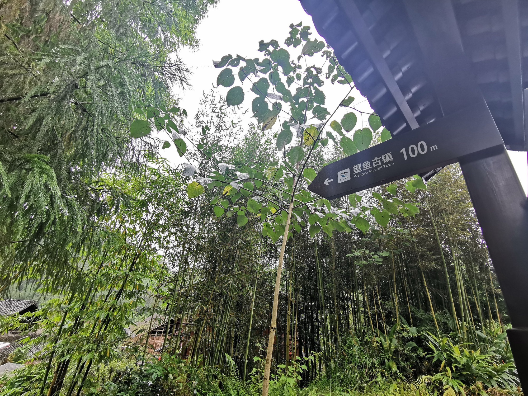 望鱼古镇旅行图片 3