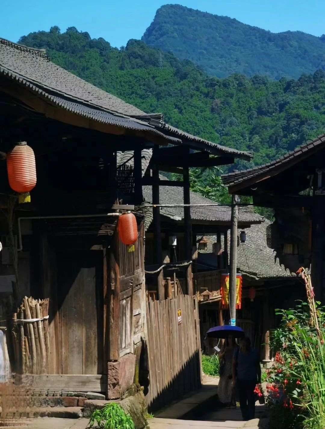 望鱼古镇旅行图片 3