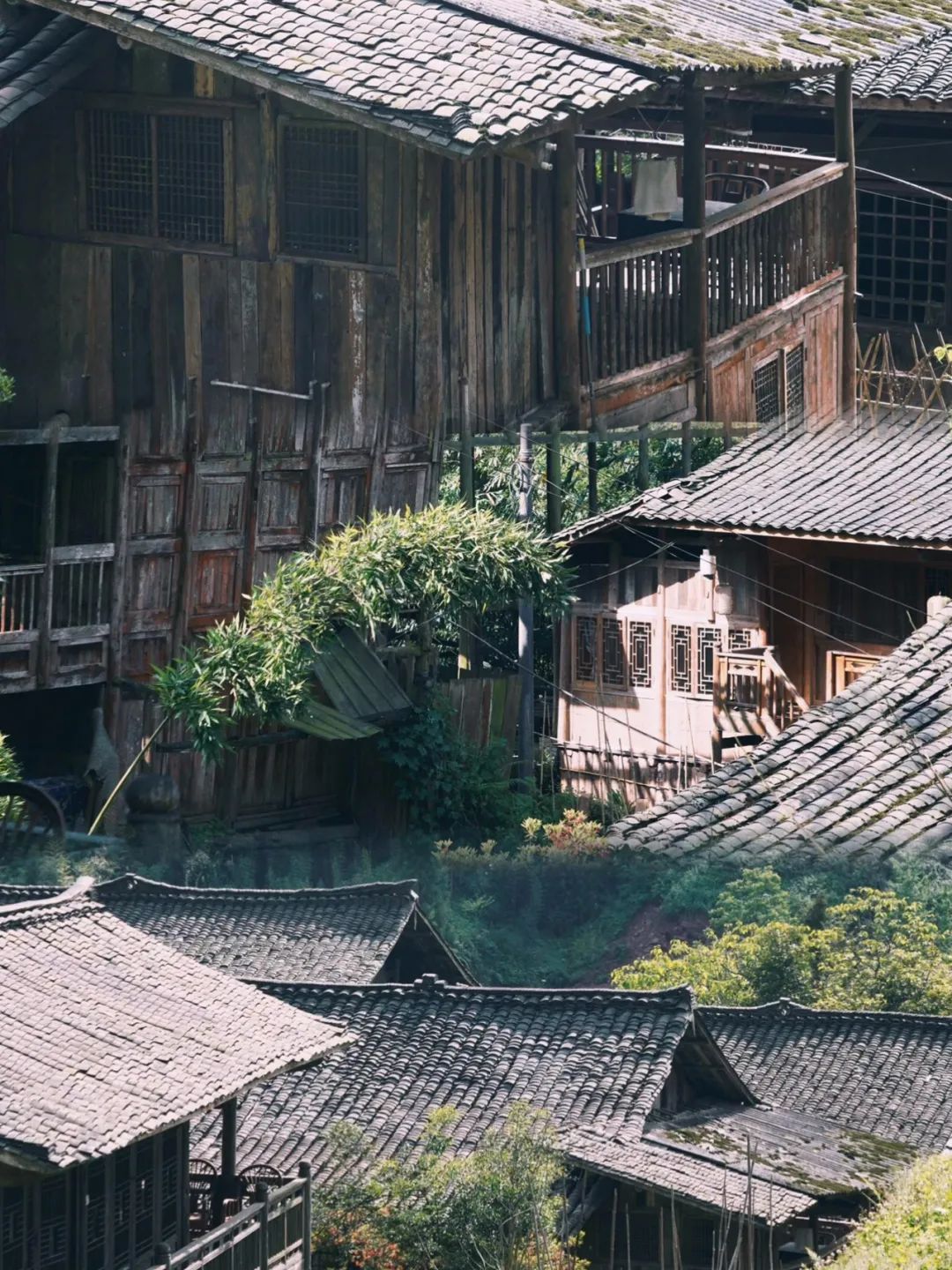 望鱼古镇旅行图片 2