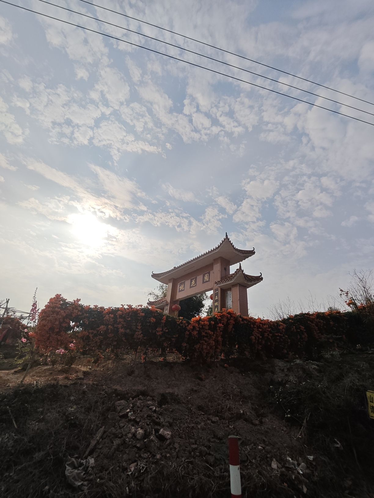 桃花园旅行图片 1