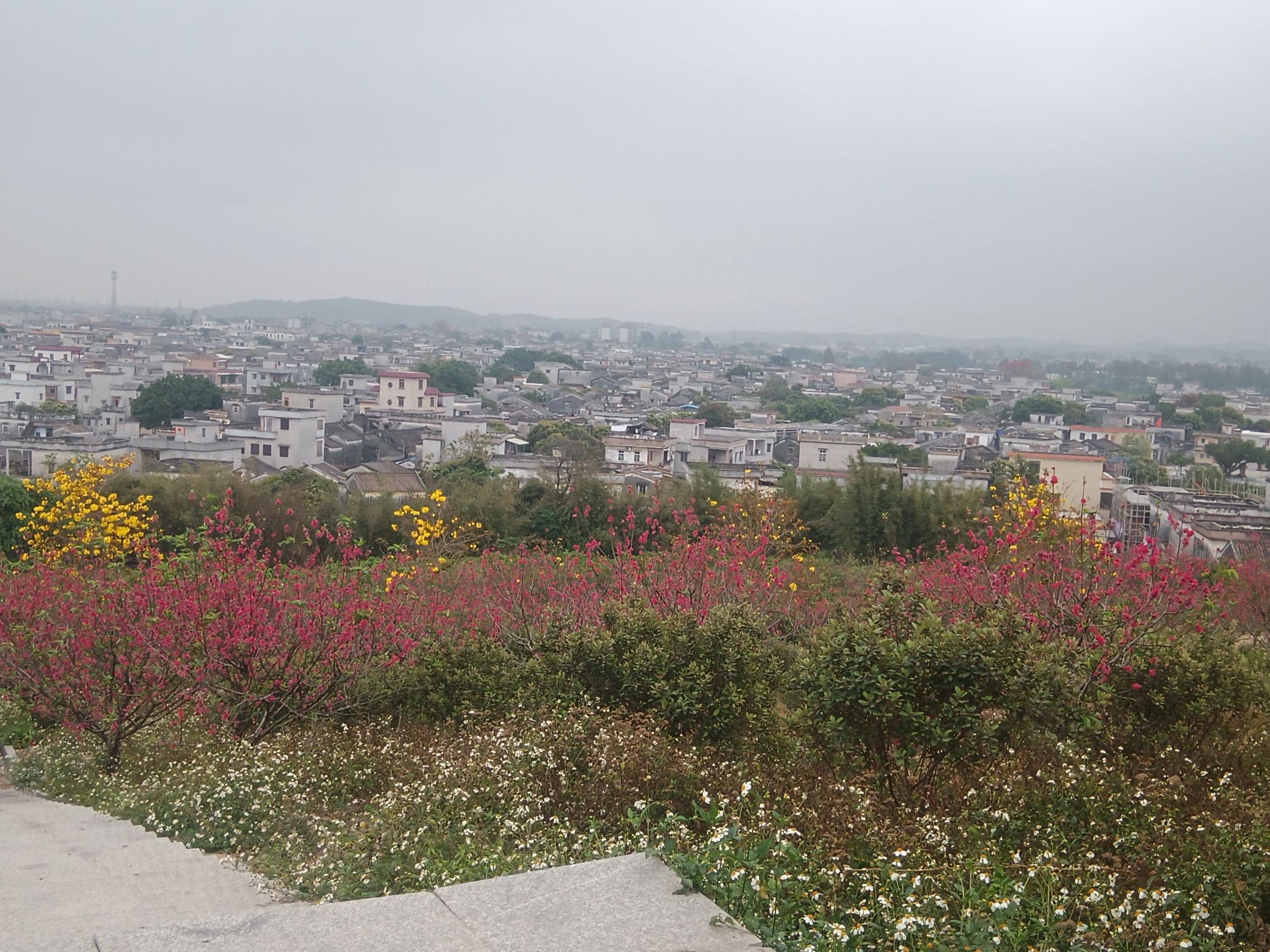 桃花园旅行图片 2