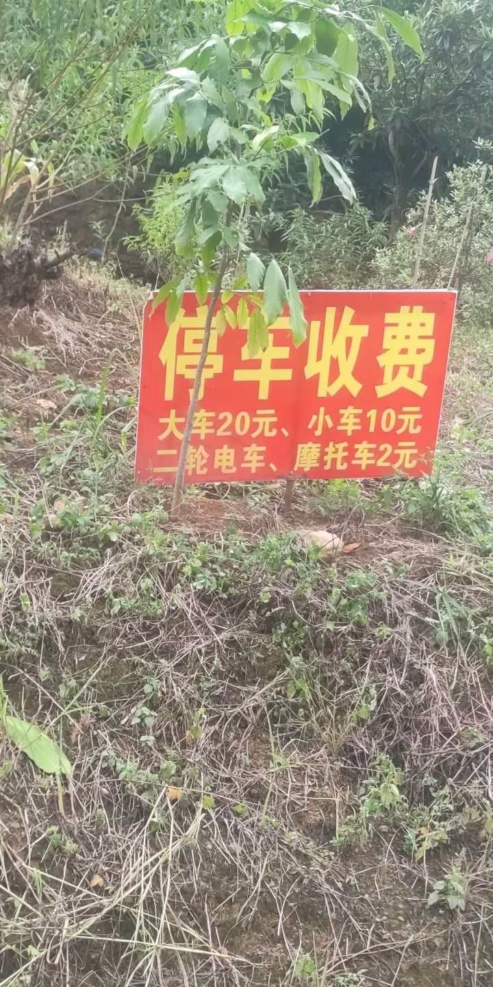 古海底迷宫旅行图片 2