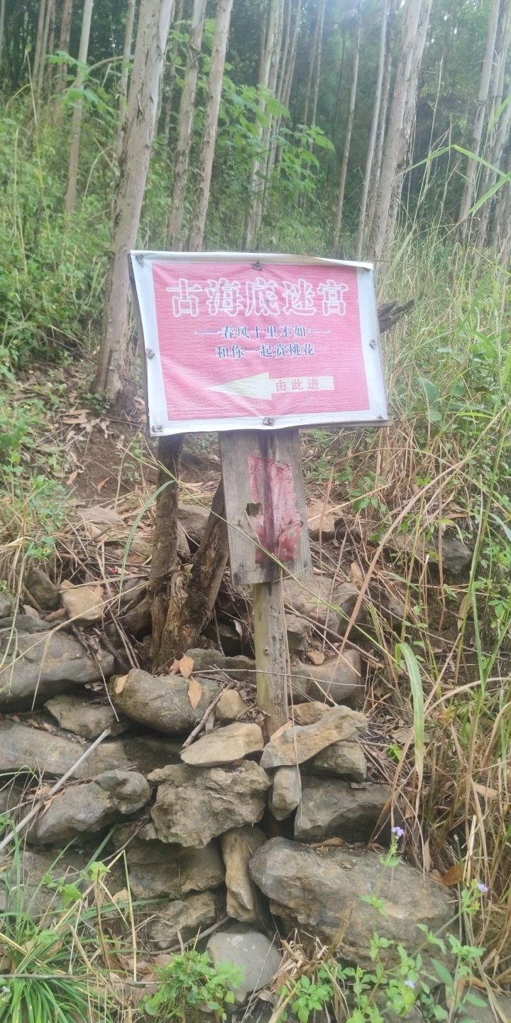 古海底迷宫旅行图片 1