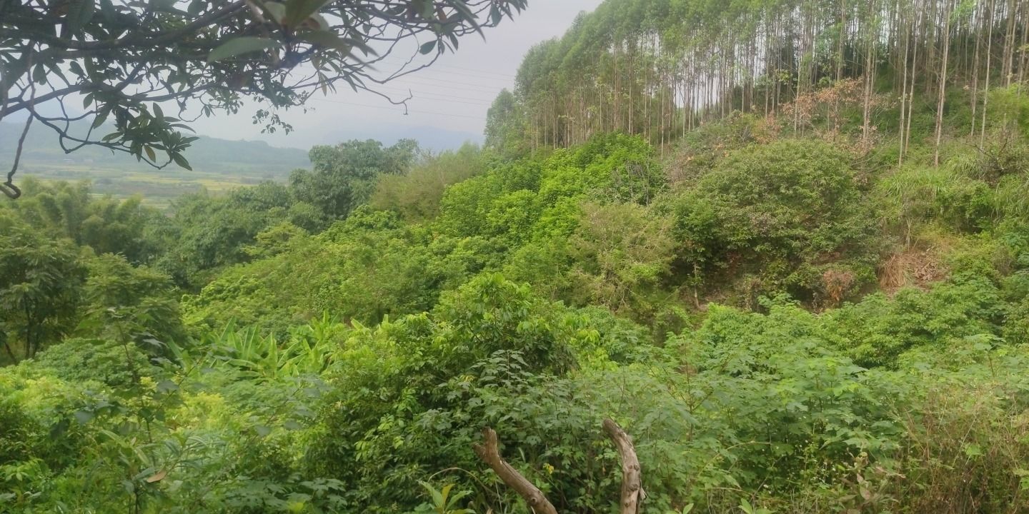 古海底迷宫旅行图片 2