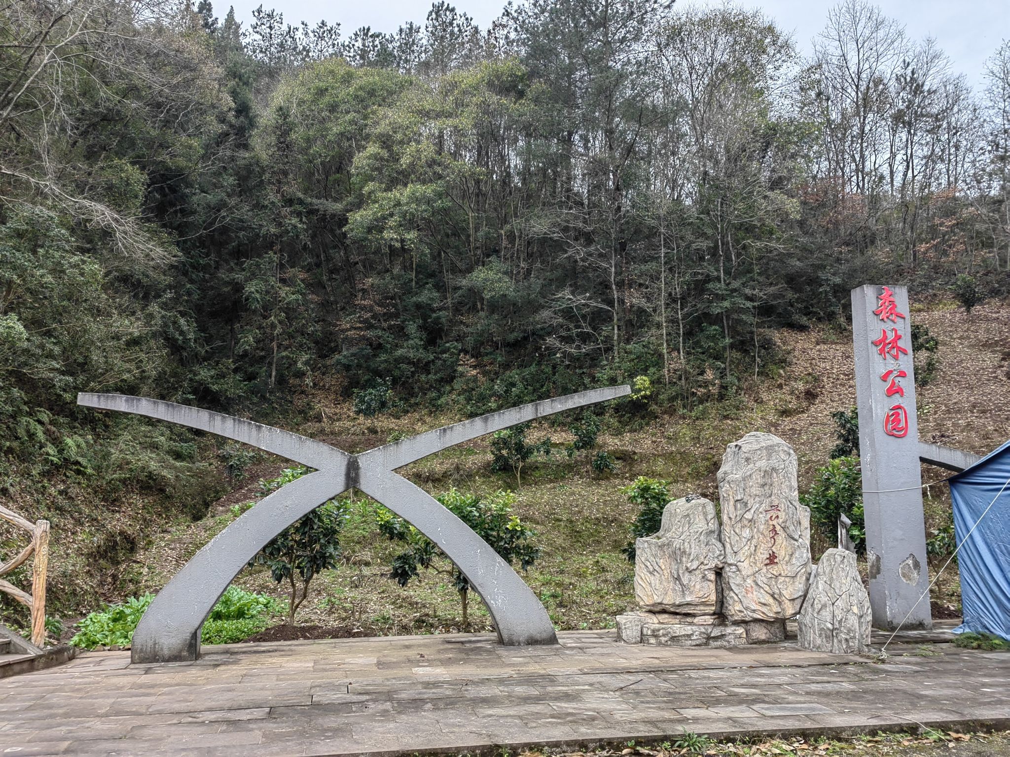 新华森林公园旅行图片 1