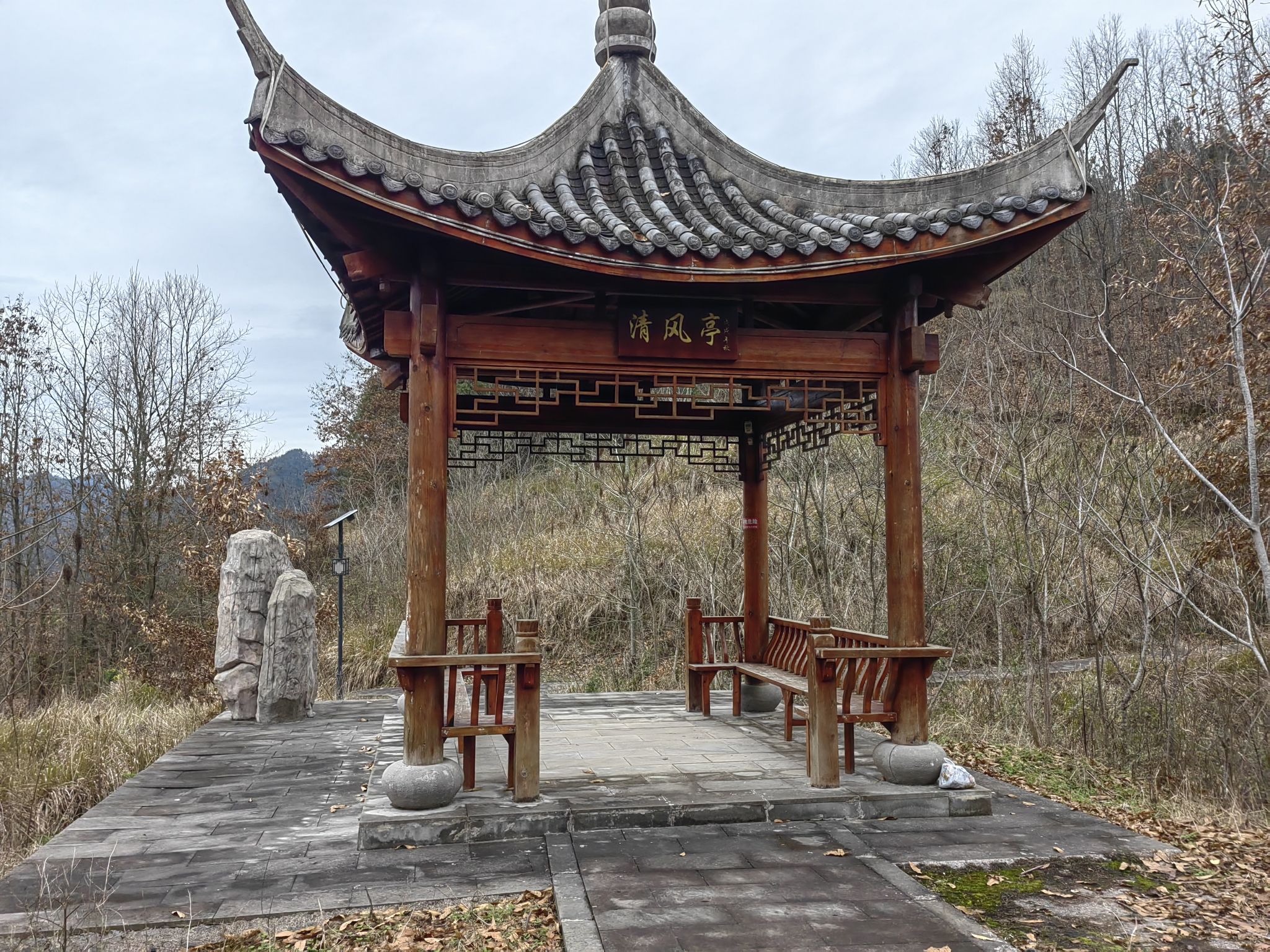 新华森林公园旅行图片 3