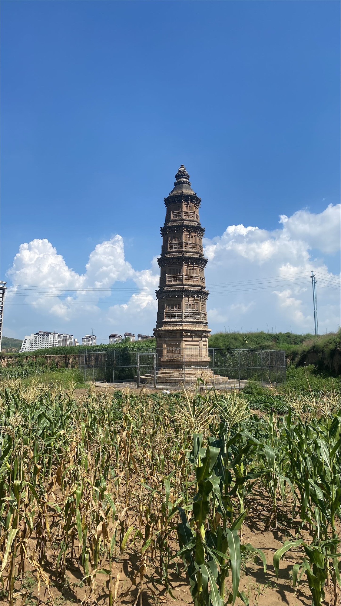 胡家沟砖塔旅行图片 1