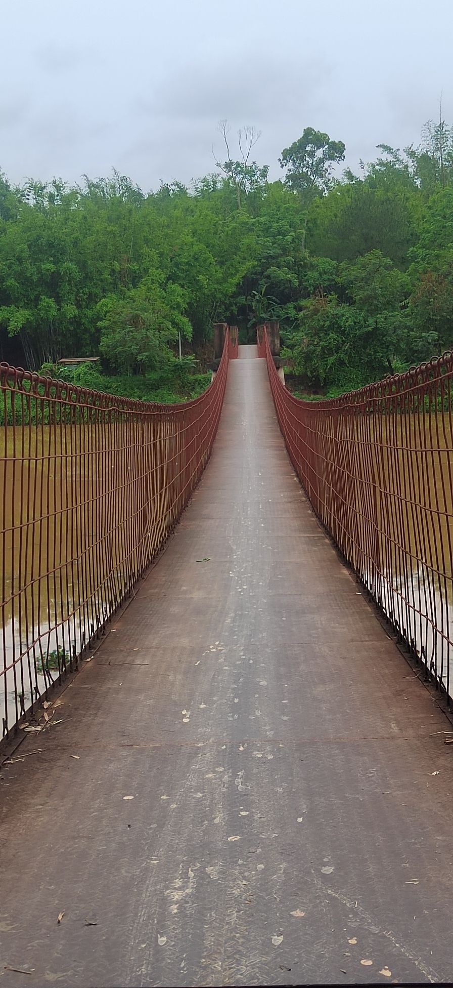 铁索桥旅行图片 2