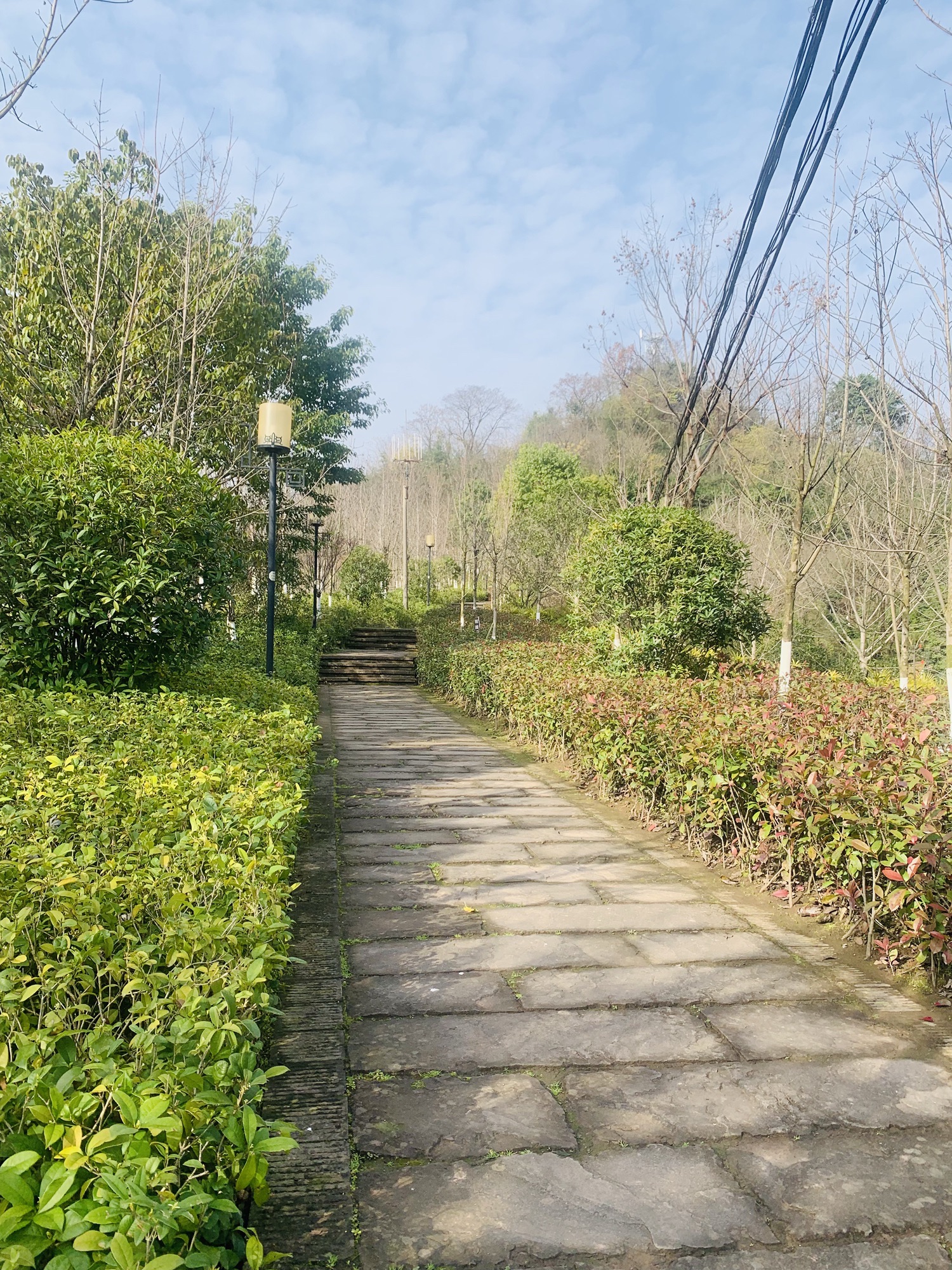 飞鹰堡公园旅行图片 3