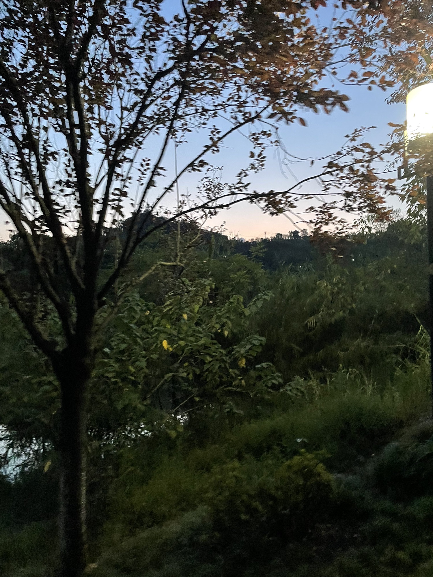 飞鹰堡公园旅行图片 3