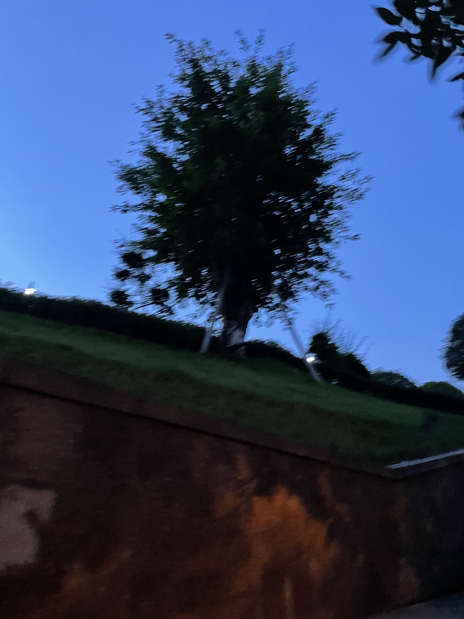 飞鹰堡公园旅行图片 1