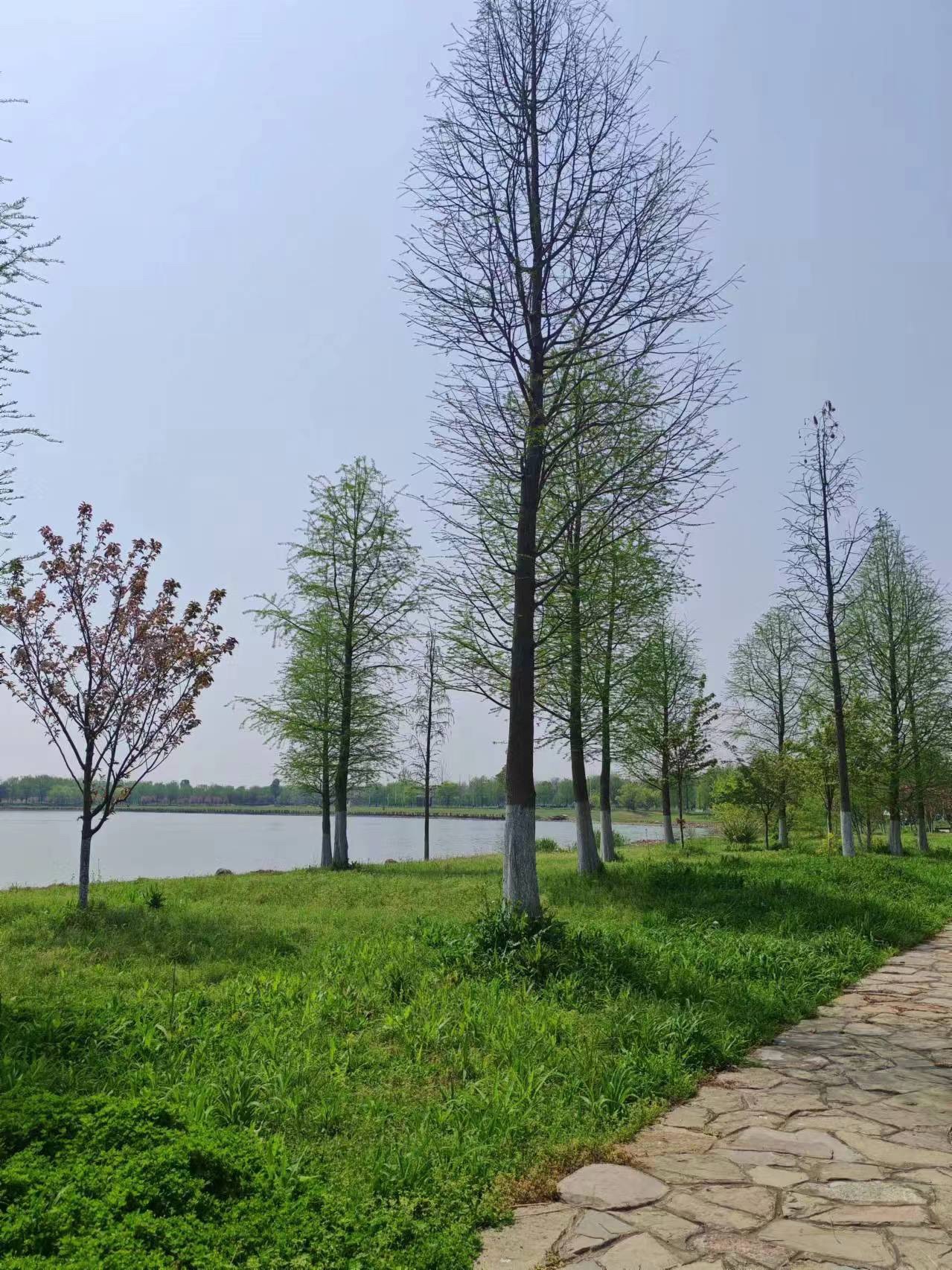 稻谷溪城市湿地公园