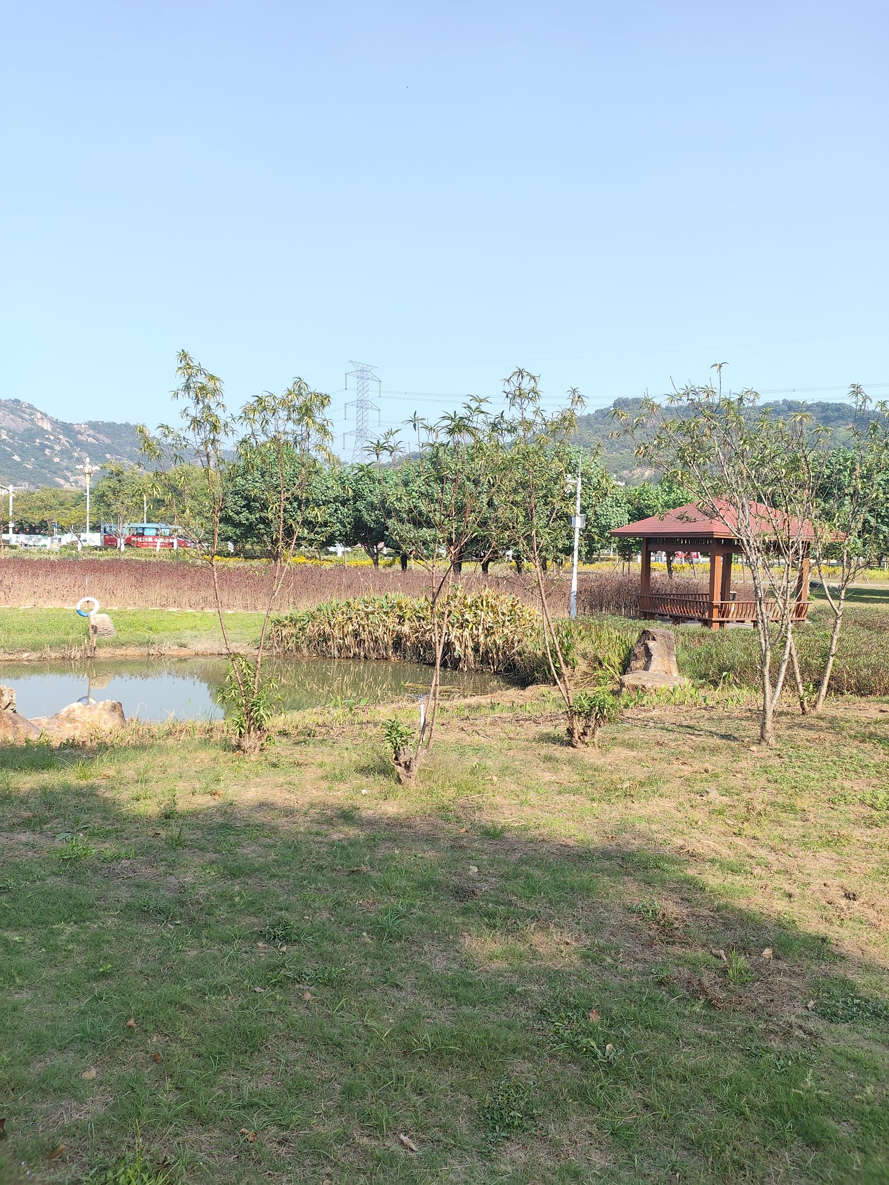 漳州花灯公园旅行图片 3