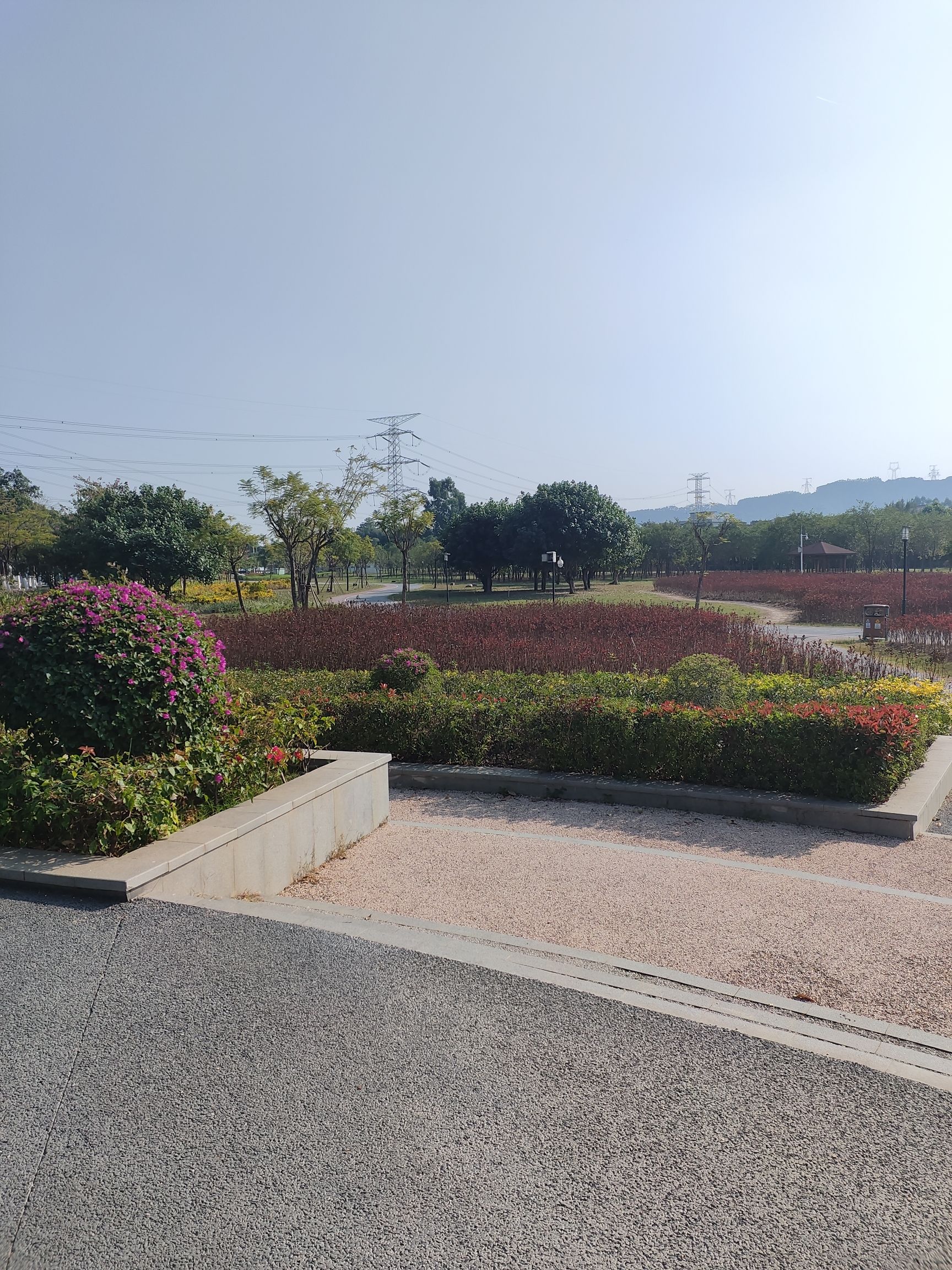 漳州花灯公园旅行图片 1