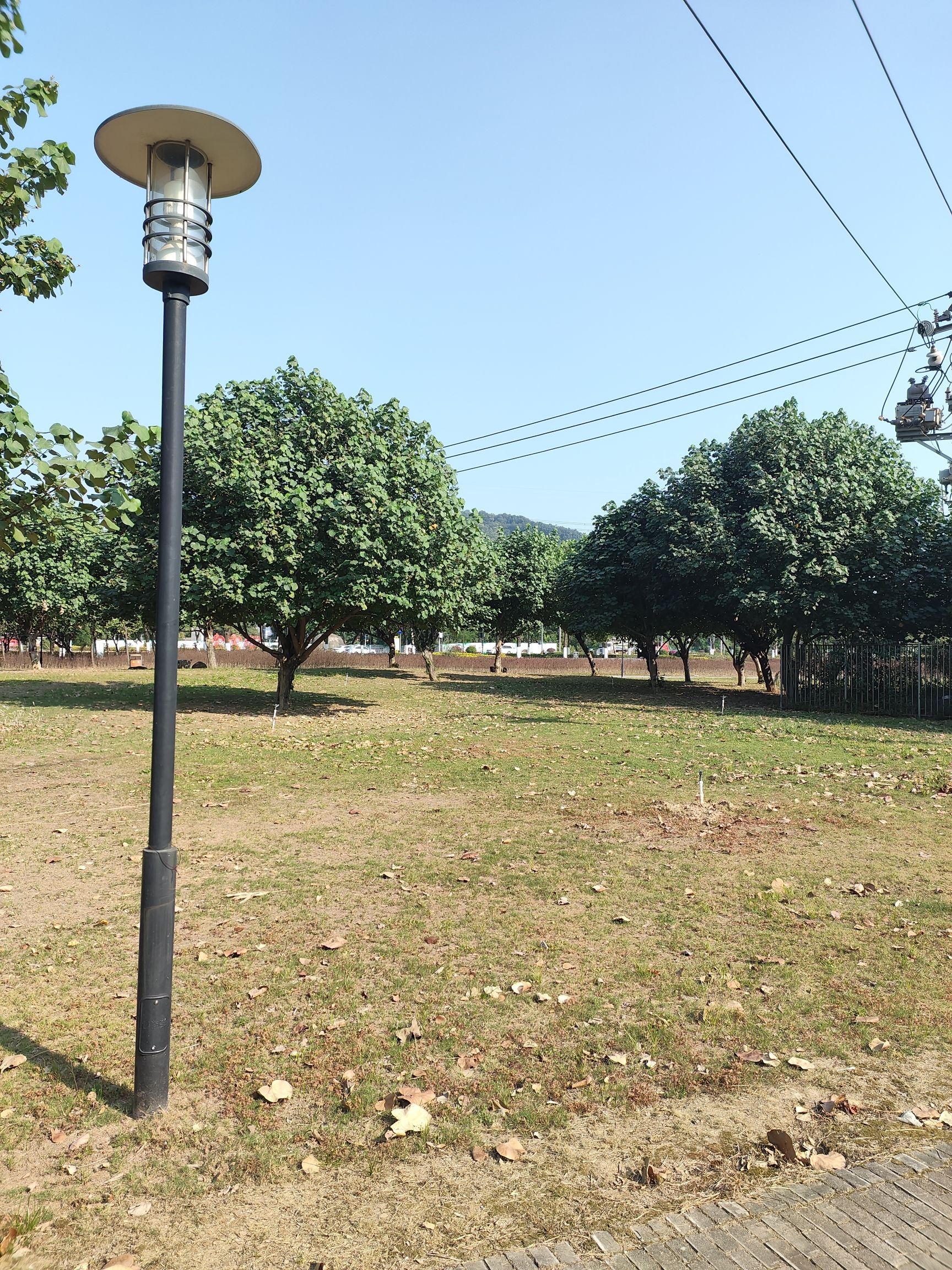 漳州花灯公园