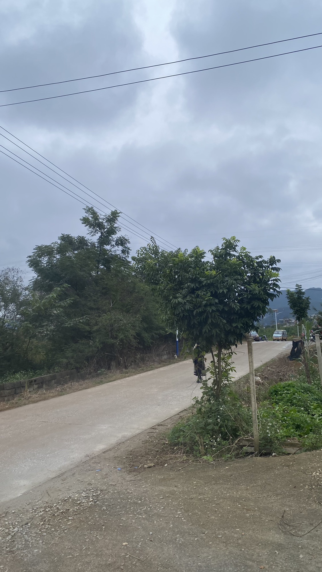 福峒山(胡志明洞)风景区旅行图片 2