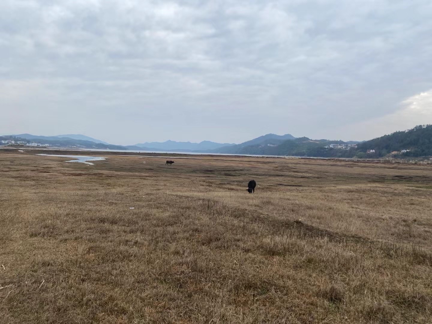 湖溪桃花岛旅行图片 1