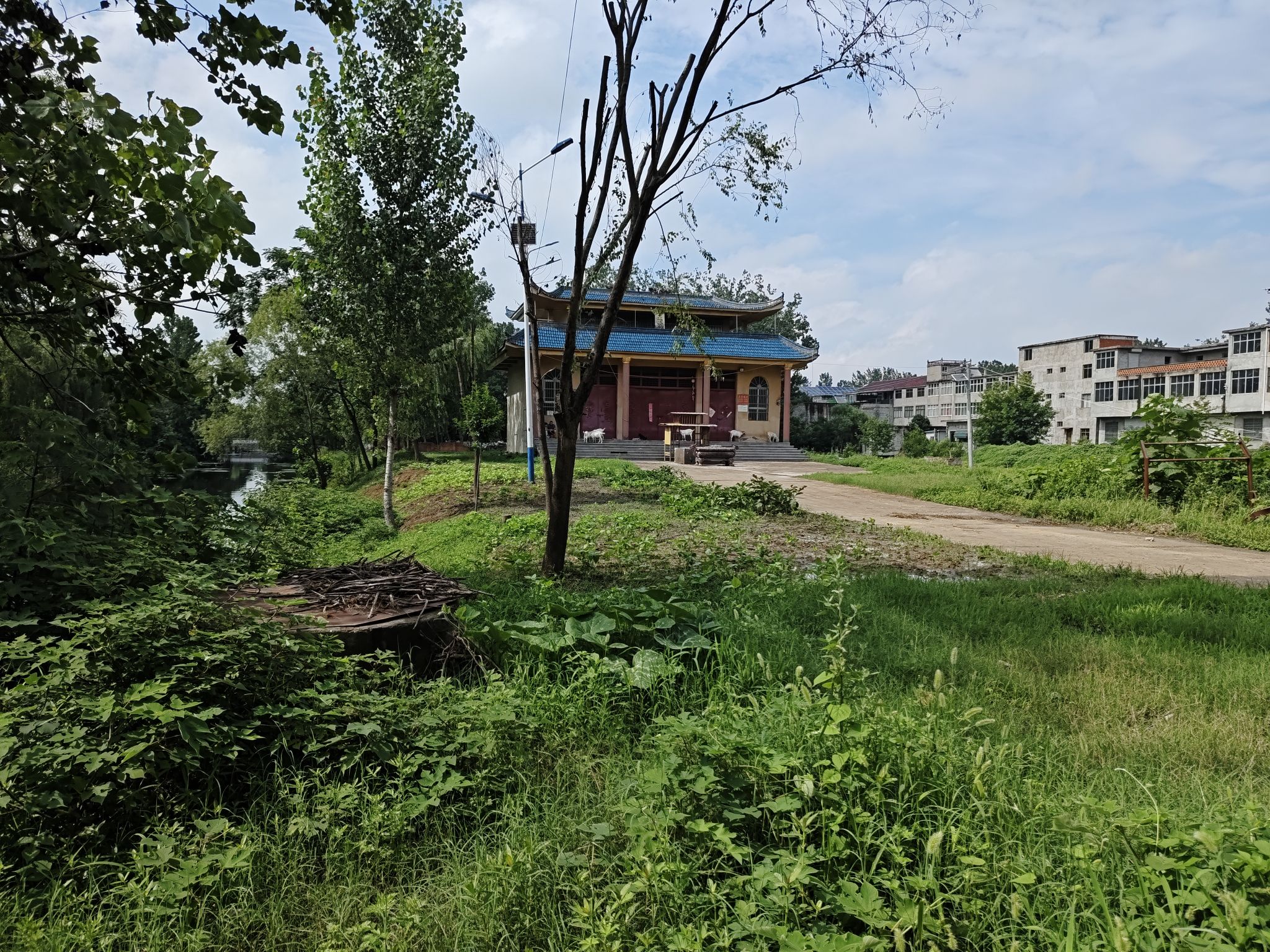 蒙城顺河街禹王庙实景照片