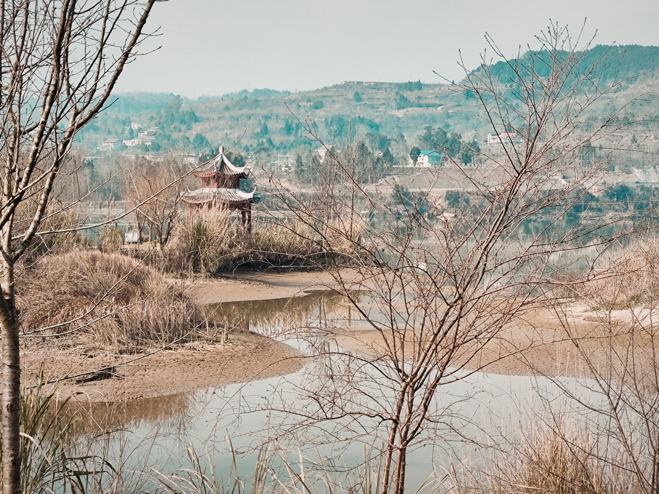 梨仙湖湿地公园旅行图片 1