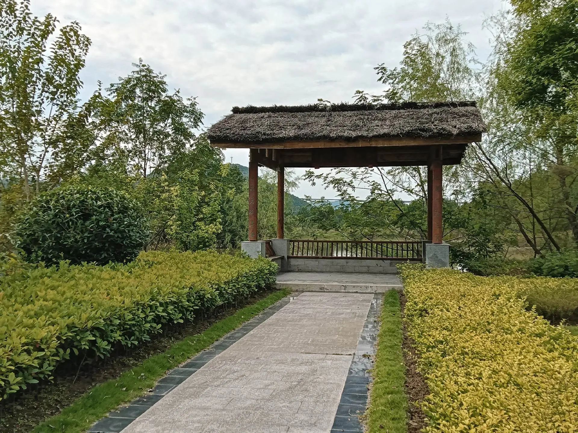 梨仙湖湿地公园旅行图片 1