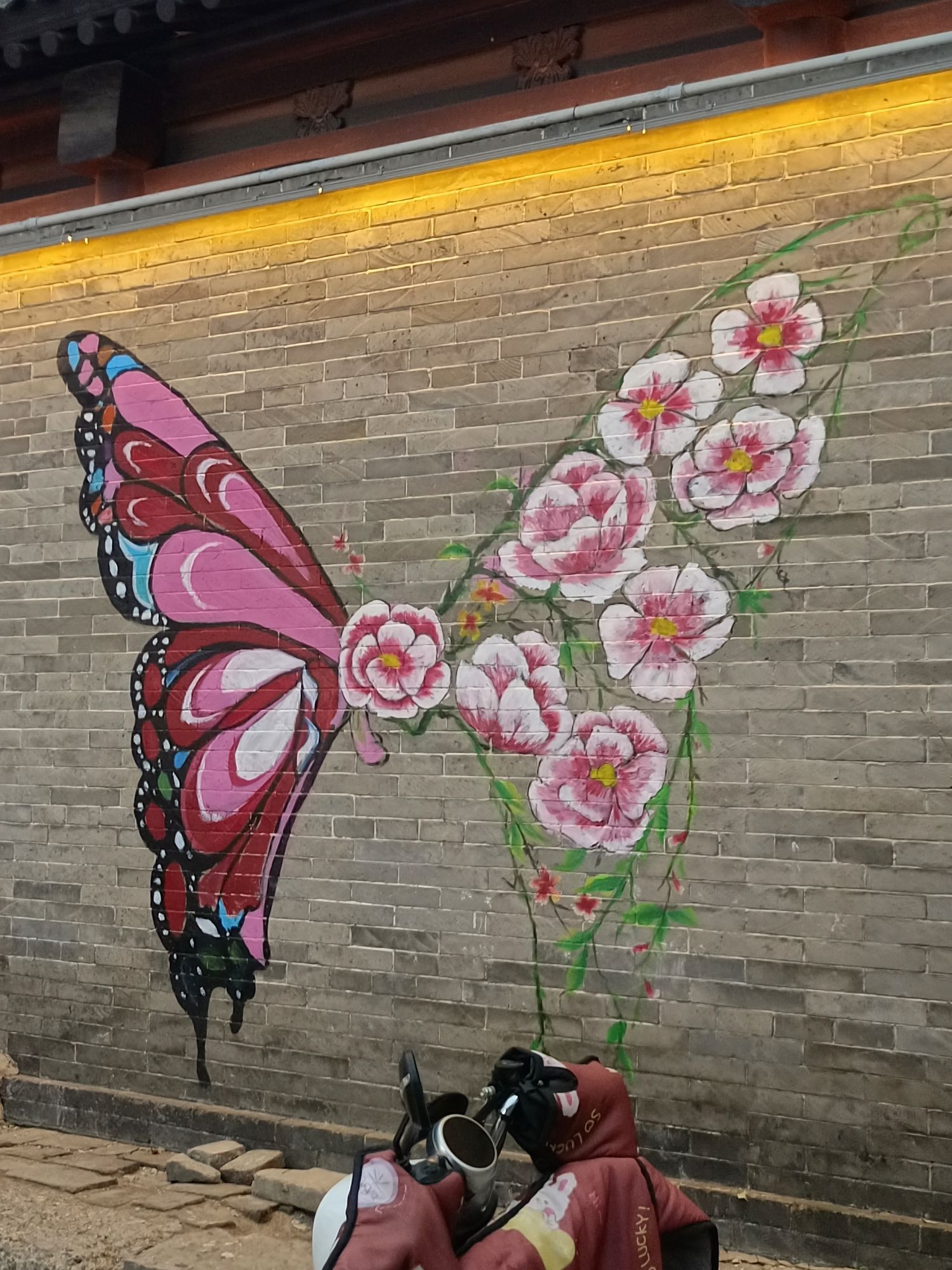 仓巷街旅行图片 3
