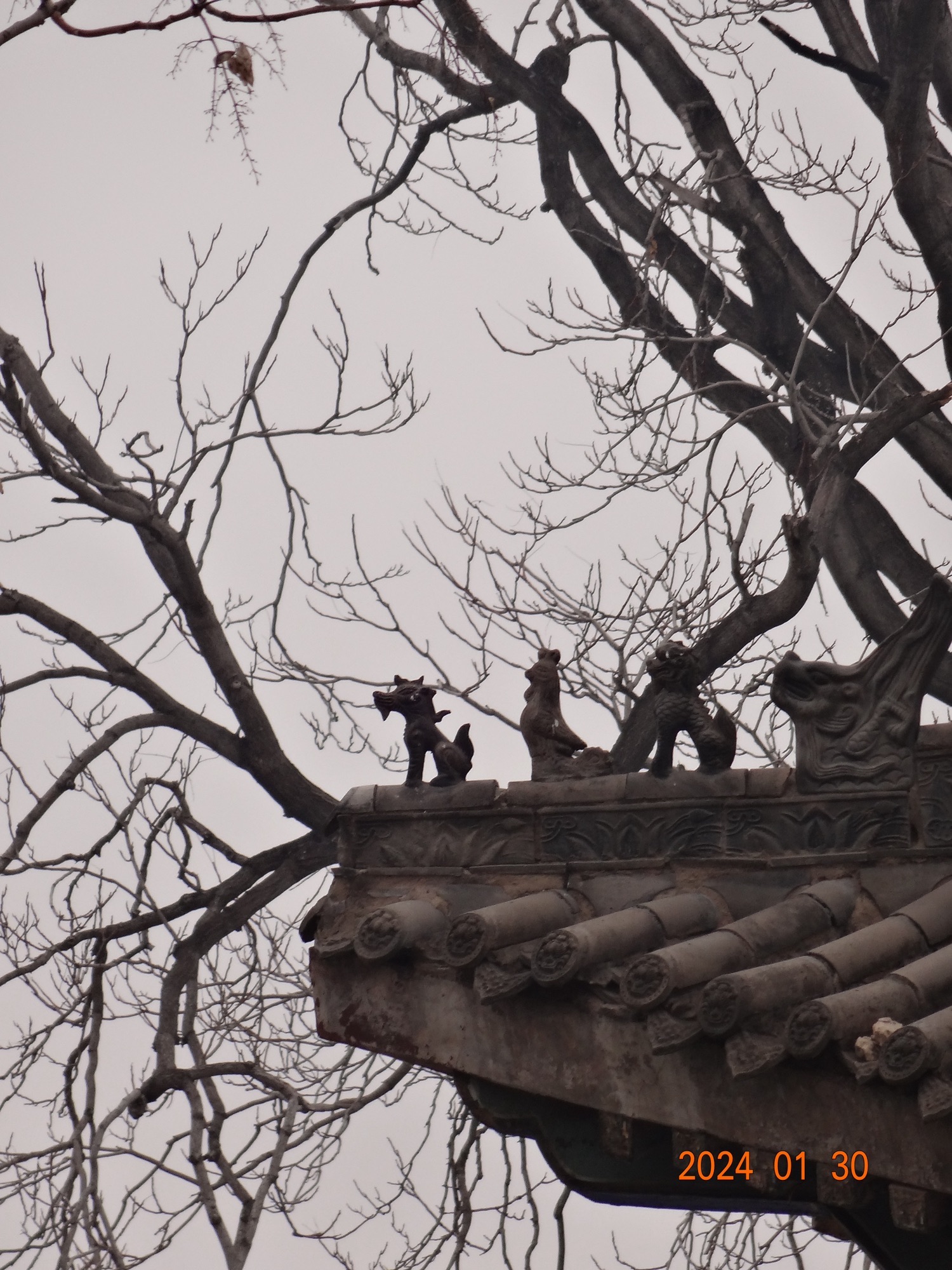 仓巷街旅行图片 1