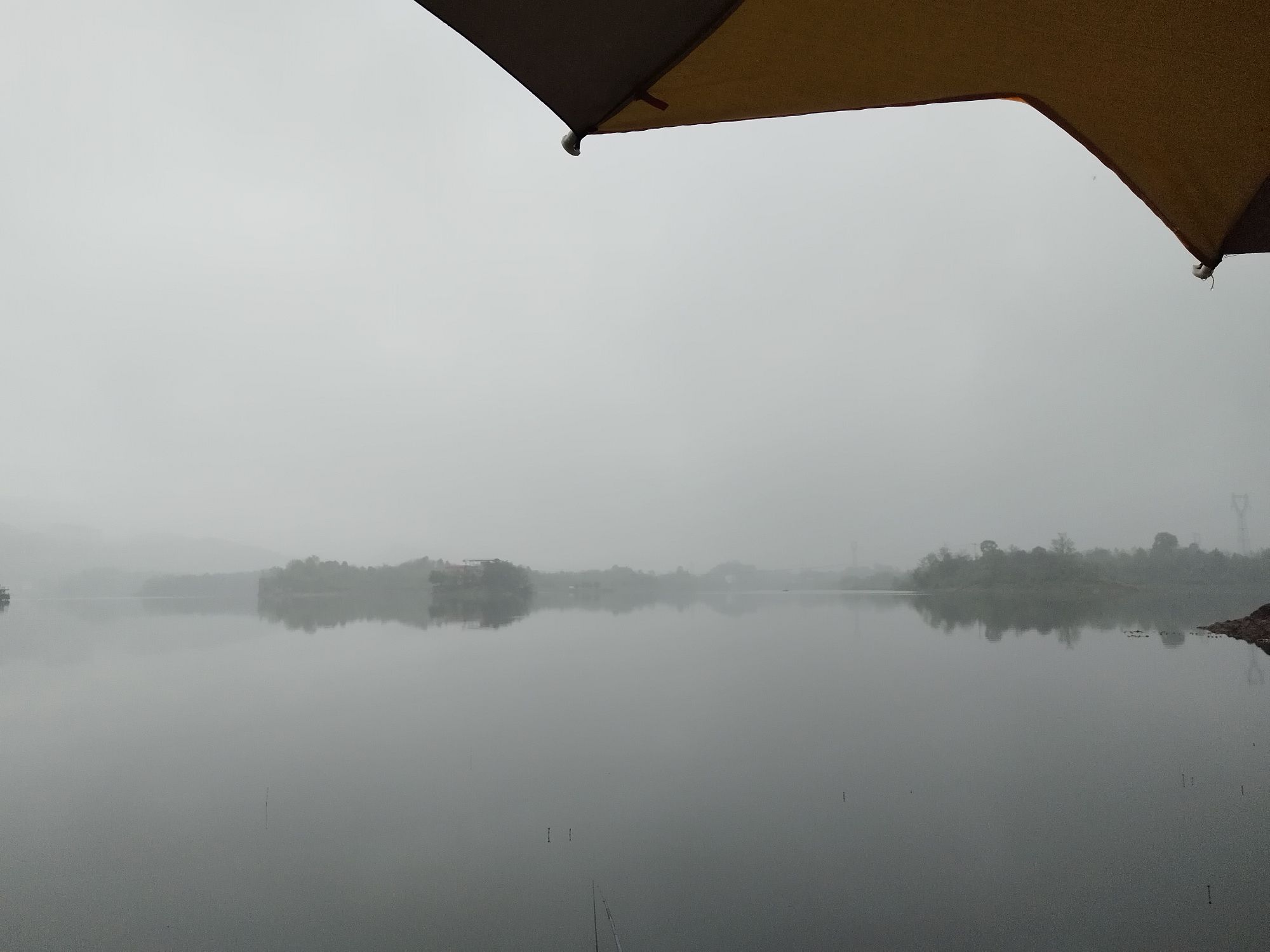 大洪湖桃花岛旅行图片 2