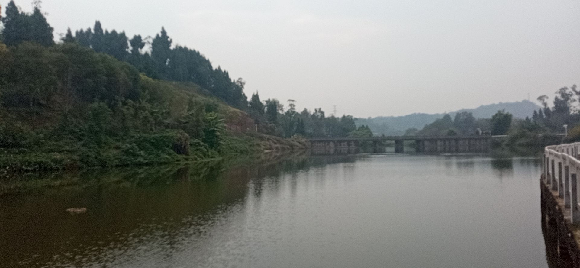 大洪湖桃花岛旅行图片 2