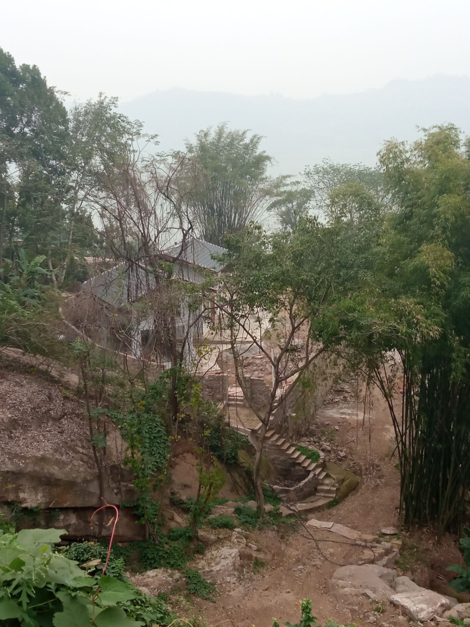 大洪湖桃花岛旅行图片 1