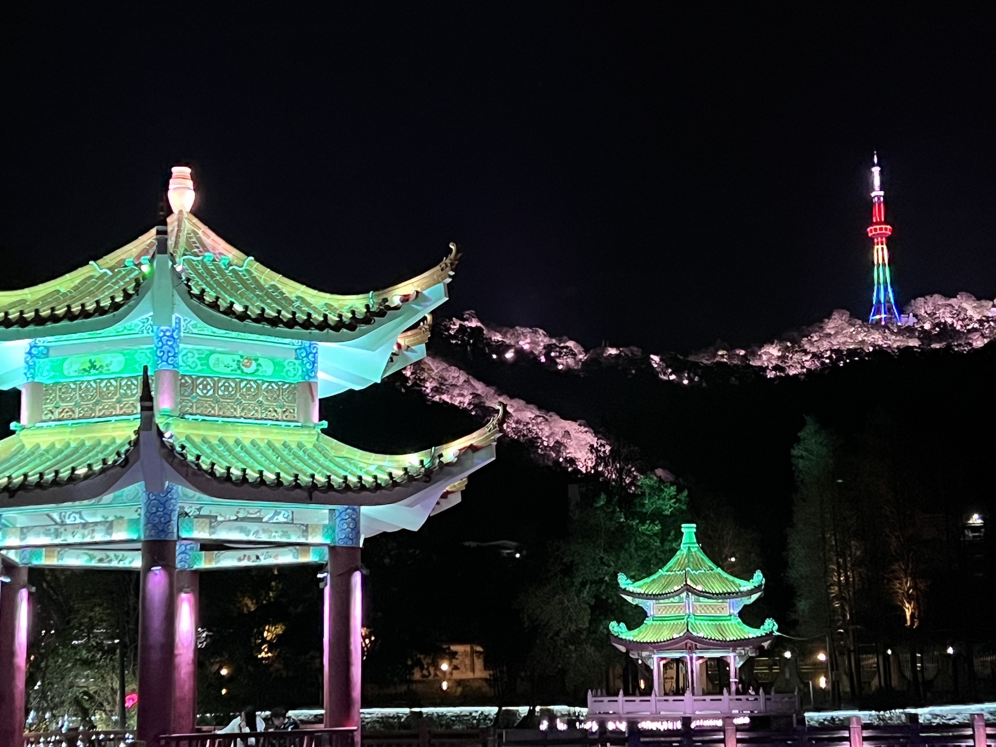 丽泽湖旅行图片 1
