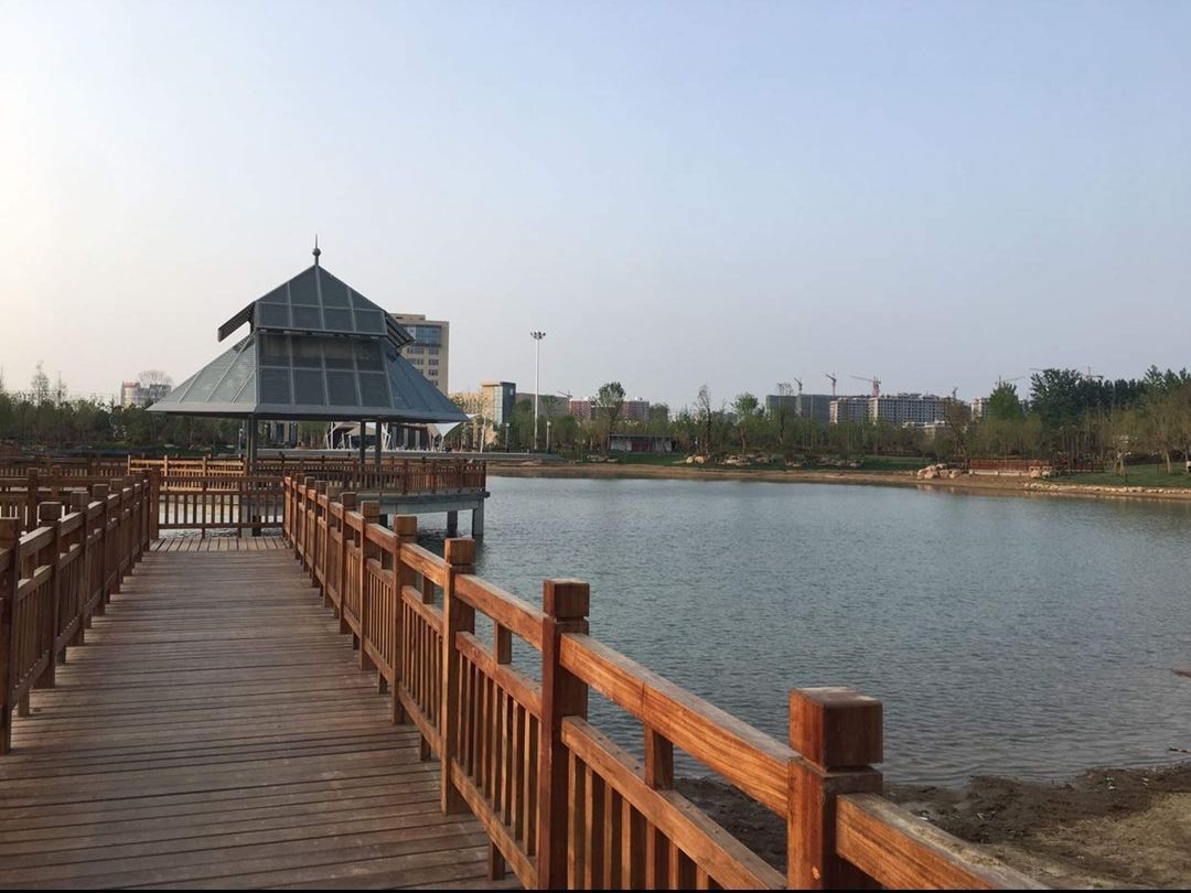 舆西湖公园旅行图片 3