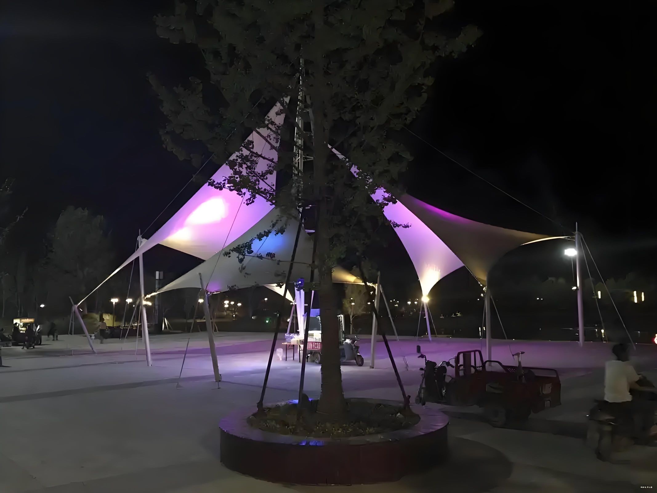 舆西湖公园旅行图片 2