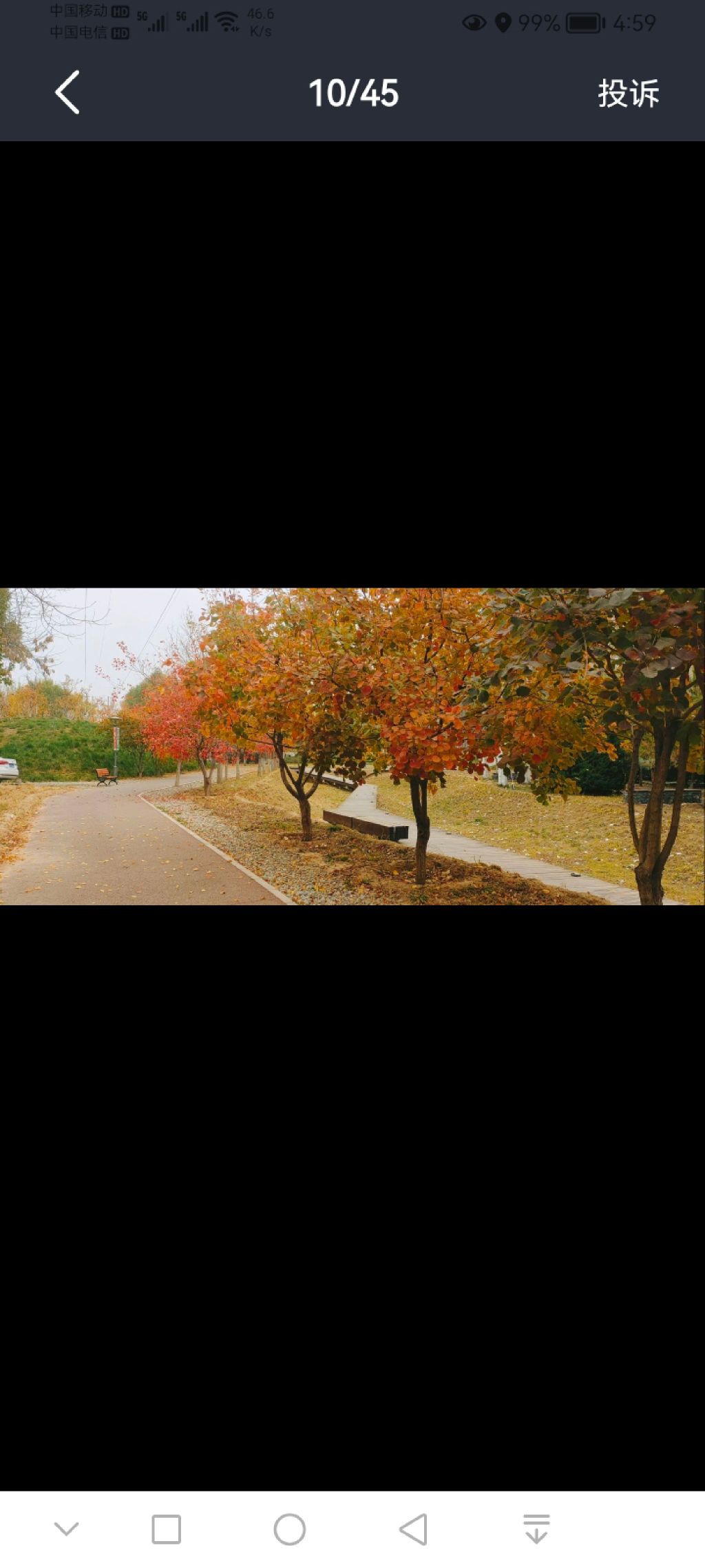 永兴河公园旅行图片 1