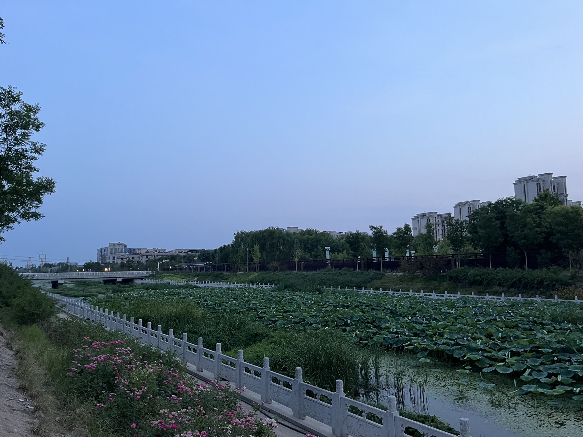 永兴河公园旅行图片 1
