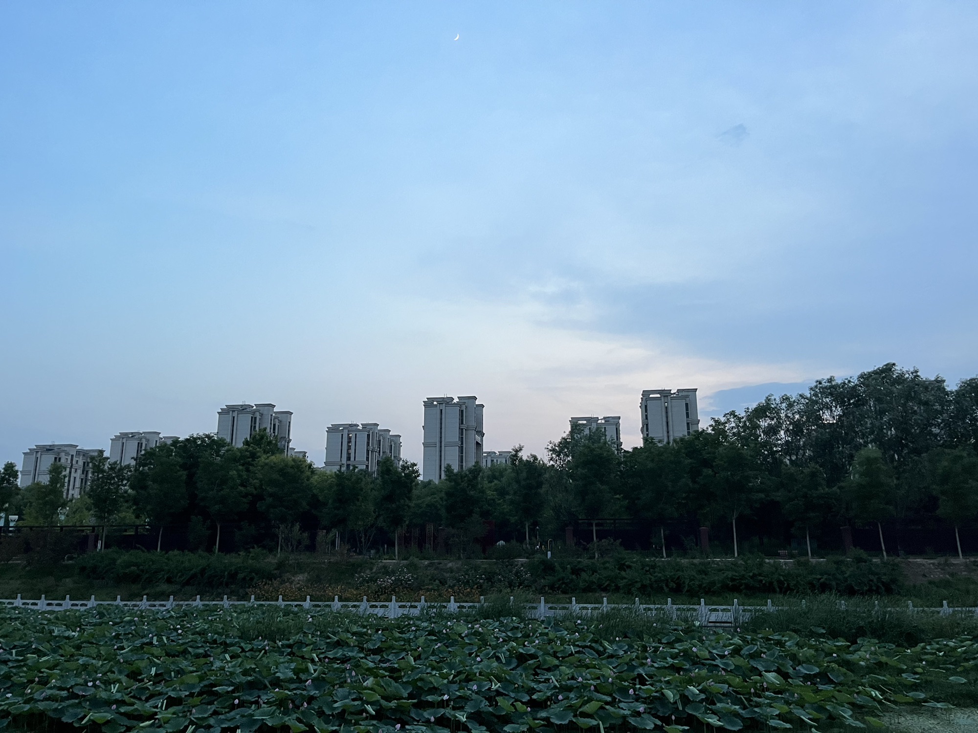 永兴河公园旅行图片 2
