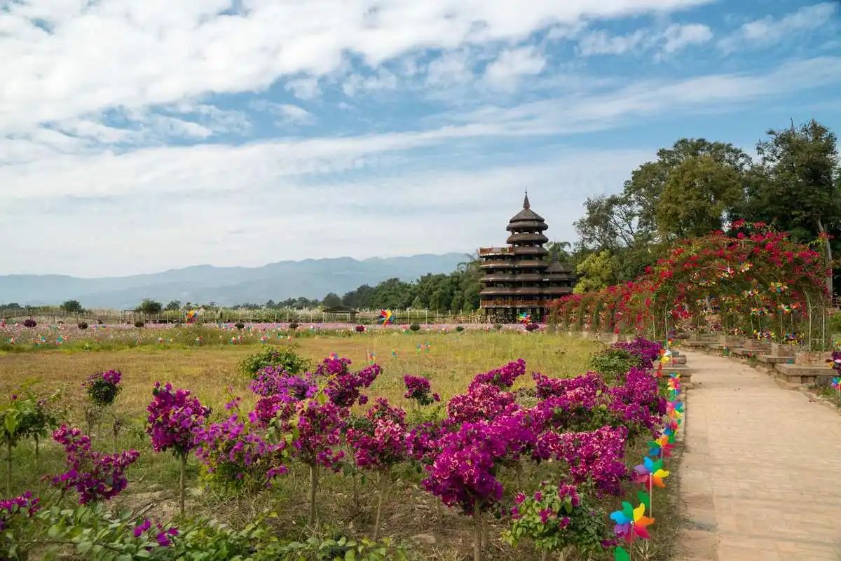 云南盈江国家湿地公园