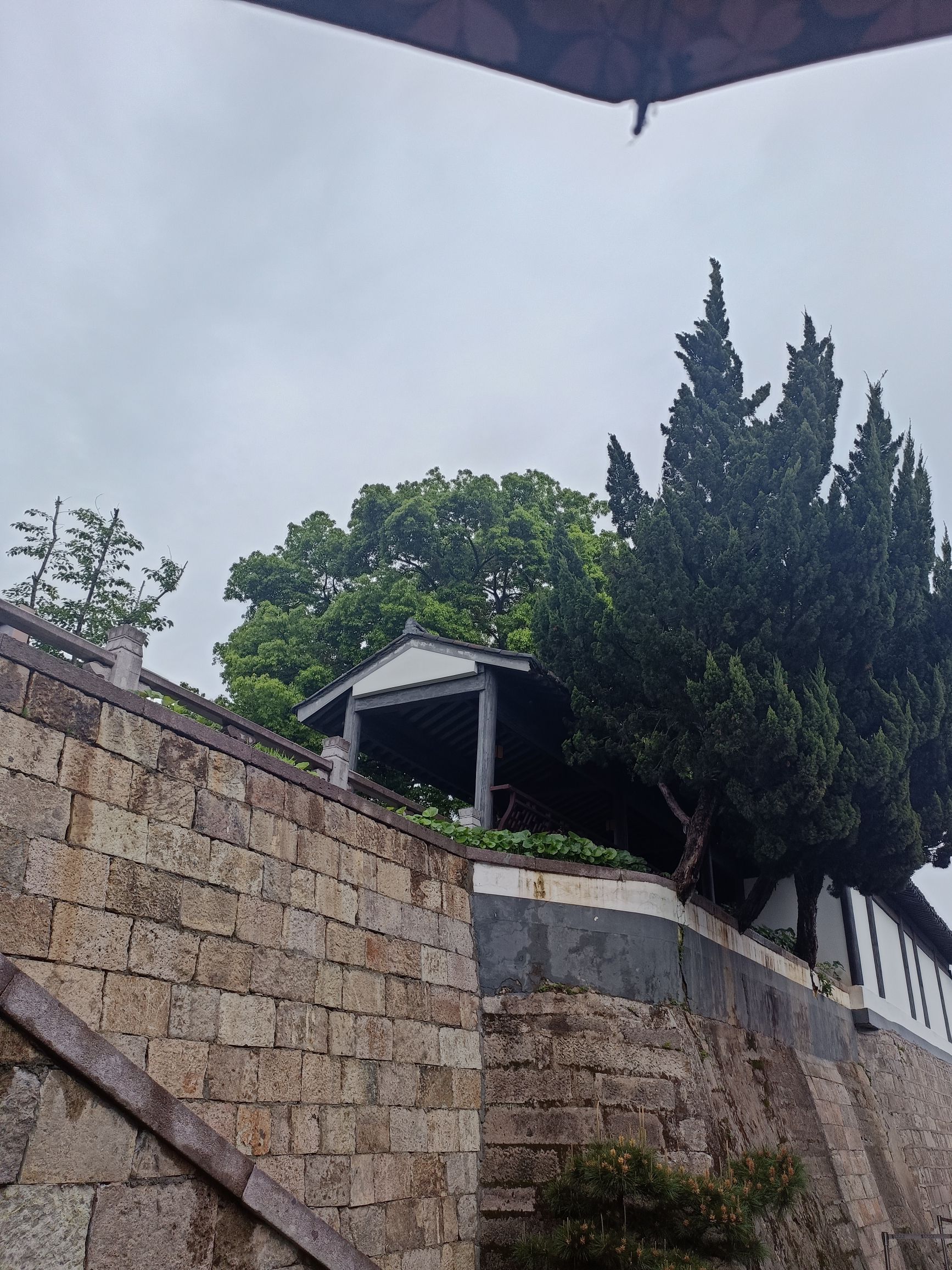 阳明故里旅行图片 3