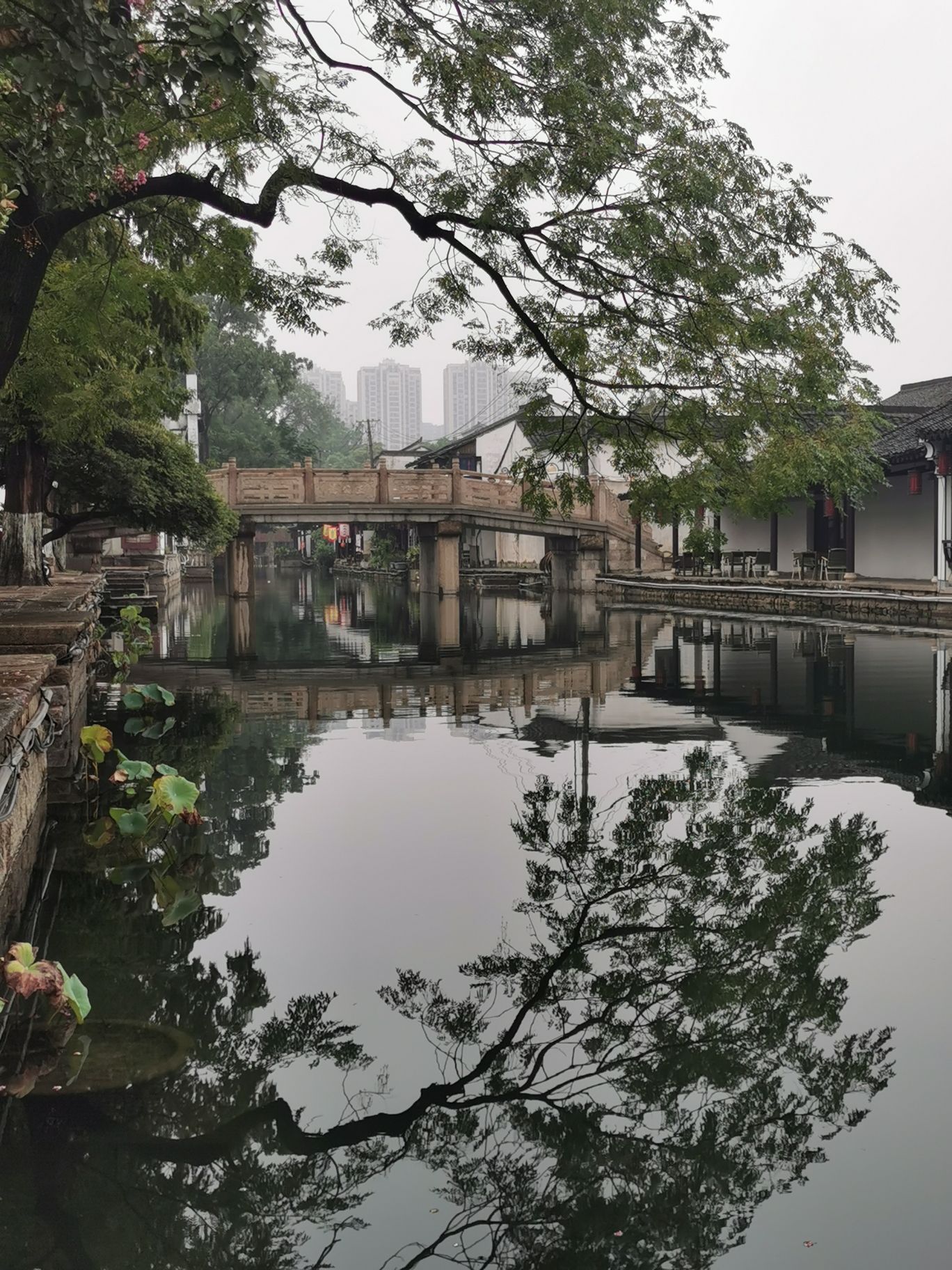 阳明故里旅行图片 2
