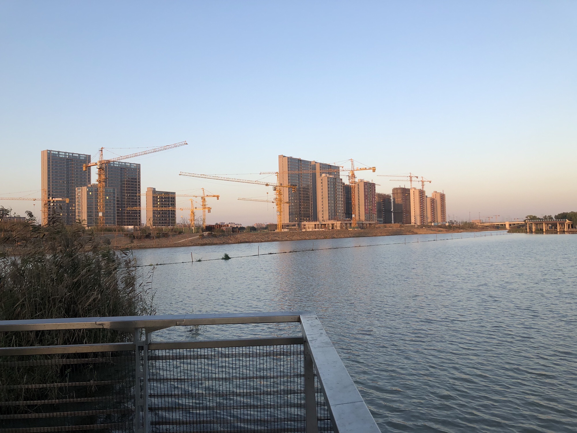 秦湖公园旅行图片 2