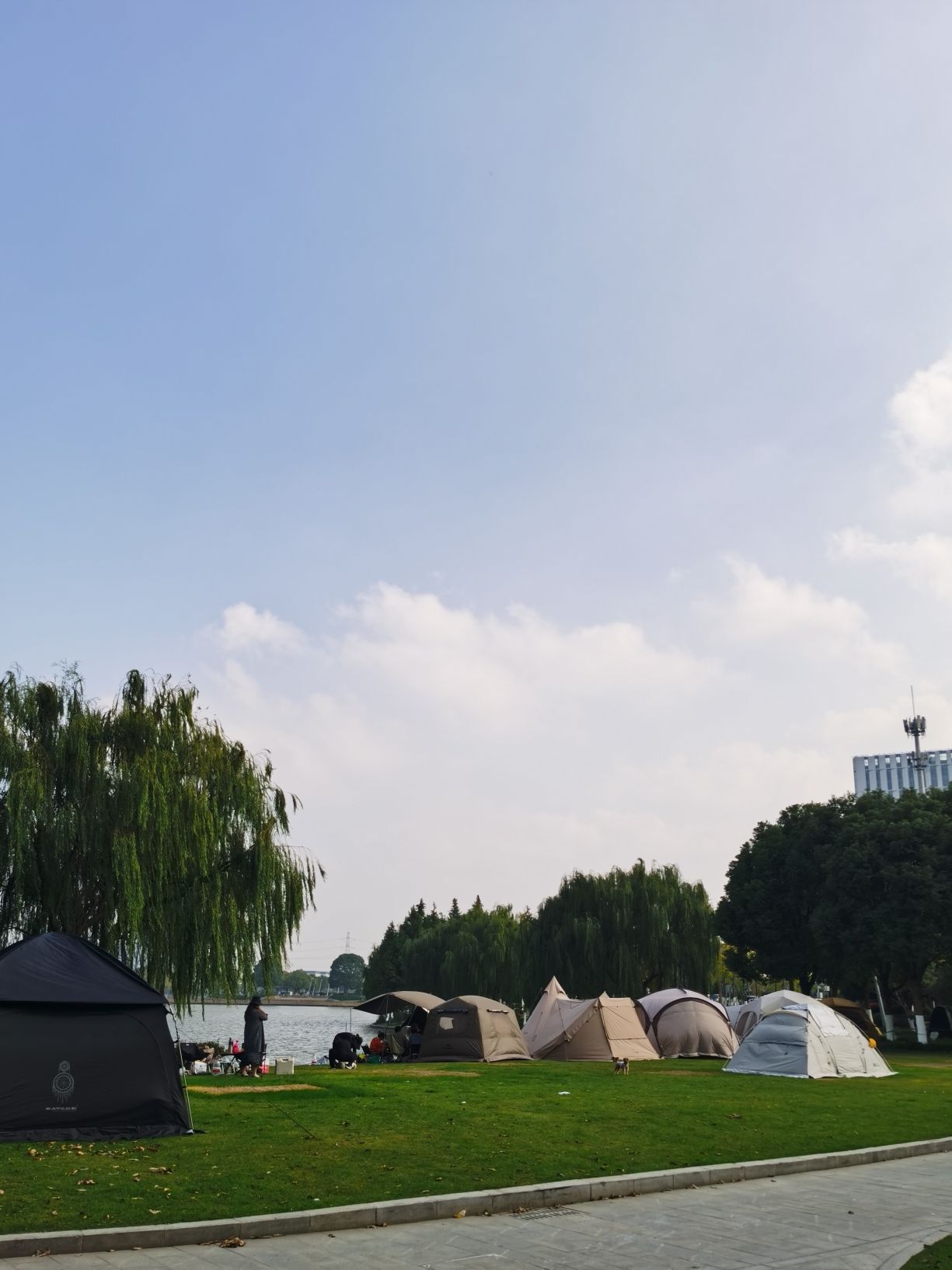 秦湖公园旅行图片 3